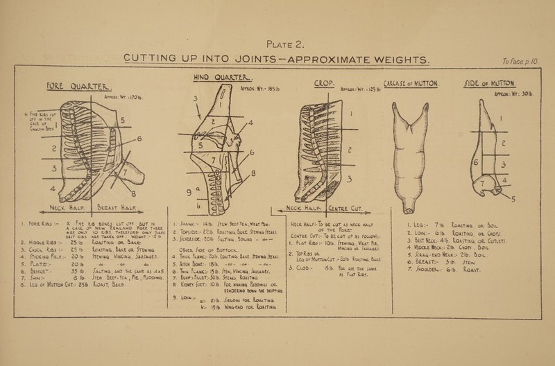 FEATE 2) | CUTTING UP INTO JOINTS—-APPROXIMATE WEIGHTS. To face p.10. HIND QUARTER. | | ee cASt ort | MUTTON. FORE QUARTER. ) Armeox: Wire 18515 CROPS smacstiis cies CRCASE ot MUTTON SIDE oF MITION. | Areeau: Wr. -170 tb. ;           Apreox. Wr. 3Oib. ay Fe aes cor .. QFF im THRE CASE oF Cagis Bere       d \; Ve  t aa \) Toe ‘ aah ae pil J ae Teg : ee &lt;. Bee bs OSes  Neck Hace. [Centre Cur. _ . Fore Riss :~ % Five mip BONtS COT CFF BUT IN    | 1. Sdankc= 14. Stew Beer Tea Meat fea: Neck Hace: To BE CUT AS RECK HALF LEG :- A CASE OF New ZEALANO ‘FORE THERE . ; oe id a i! : 1, LE@: 7 Vb. ROASTING . OR Bou MRE Wey 10 GSS THEREFORE omy jursef @. Torsime:- 22. Rosstiwa, Save Stewie {reaxs. 7S ° P 2. Lon:- Glib. Roasting on Crorys BEST RIBS ARE TAKEN OFF. WEIGHT .~ [2 |b 5 SRVERSIDE:- 20 Ib Sauyine Souiig = deo ENTRE CUT:- Te BE CUT UP As FOLLOW. Rect X Al ; pte: 2. Mine RiBS:- 28io Roasting on Bane * ar Pita as ns 1. Frat Ries:- lib. frewing , Meat Pie, 3. S867 Keck: Alb. Roastea of Comers. 3. Swacwk Ras :- 25 Ib. Roasting, BAKE oz Stewing Otner Sor or BUTTOCK. &gt; ToPR MincinG@ of AUIAGES. | A. MipoLe Heck:- abd. ee J Bon. A. Srickine Pece:- 20ib. Stewwig Muvcing, Savsaces.. 4. Thick Framx: Zolb. ZoarrG, Bane, frewme fteaxs. Shien se ge -20tm. 2 5, Scnag-tn0 Neck: Zib. Row. Léa of Murton CuT = col Roasting, Bane. 6. BREAST= 3. Frew 5. Pure: ZO Ib. - de- ‘de. « de - 5. Anch Bone:- 1b, -40- -de- 9 - do- mae Sib. F . h : W 6. BesKer.- 35 Ib. Sautina, Aw Te Same as 425.1 6. Tan Flank: i$ib, few, Mining Sausages, ; aes tee oF ties 7, MOULDER- Gib. Roast. 7. Seiset- Bib. Stew Aeer-tea Pie, Puemng. | 7. Rume's Fucet-50lb. Sreaus, Roasting eB ese ) @. Lea of Mutton Cut: 256. Roast, Baxs. &amp; Kiowty fuer 1Olb. for Maxug Puoomas on | RENDERMG Down Foe DaIPPHAG. | | 3. LOM arb. arom FoR Roasting, b:- ib. Winatnd for ROAITING. |