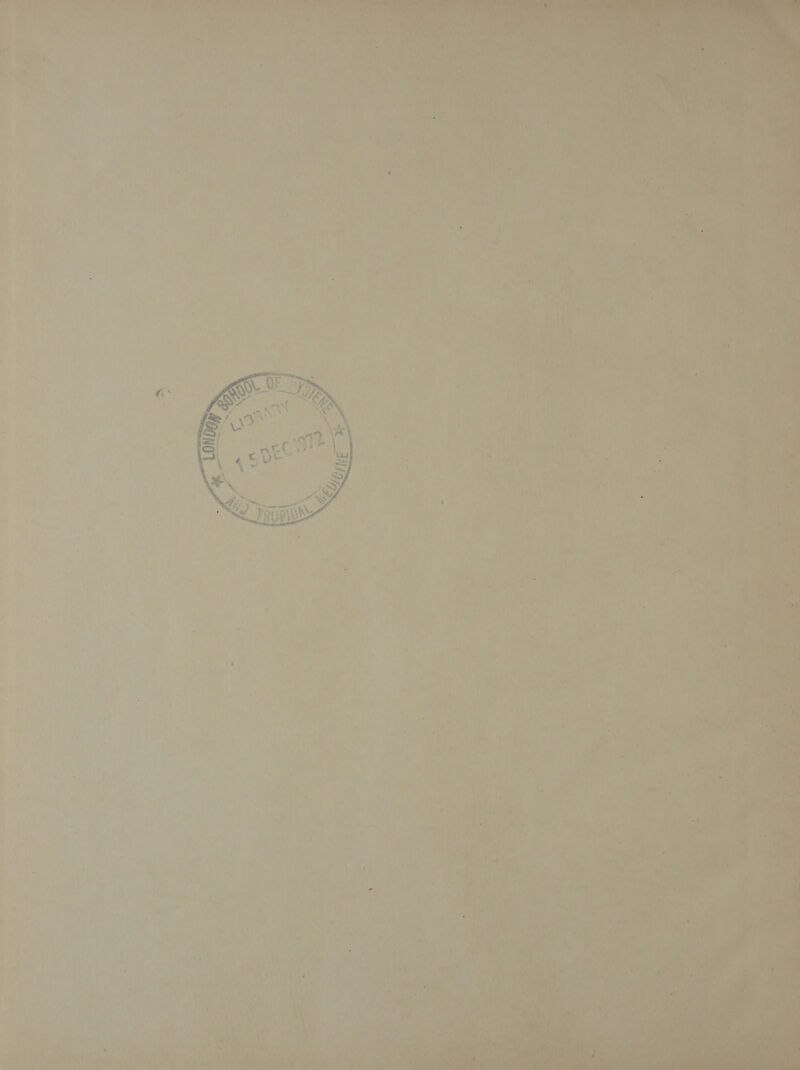 | A “ ae. eo : at Wis er ' mM ; te - iy he | } 7 : Lr oy) oj Vee hear iP ® ' ; ion | apy ¢ 7, a rc Neh “4 ‘Thies ‘ aed? i. at a re cae