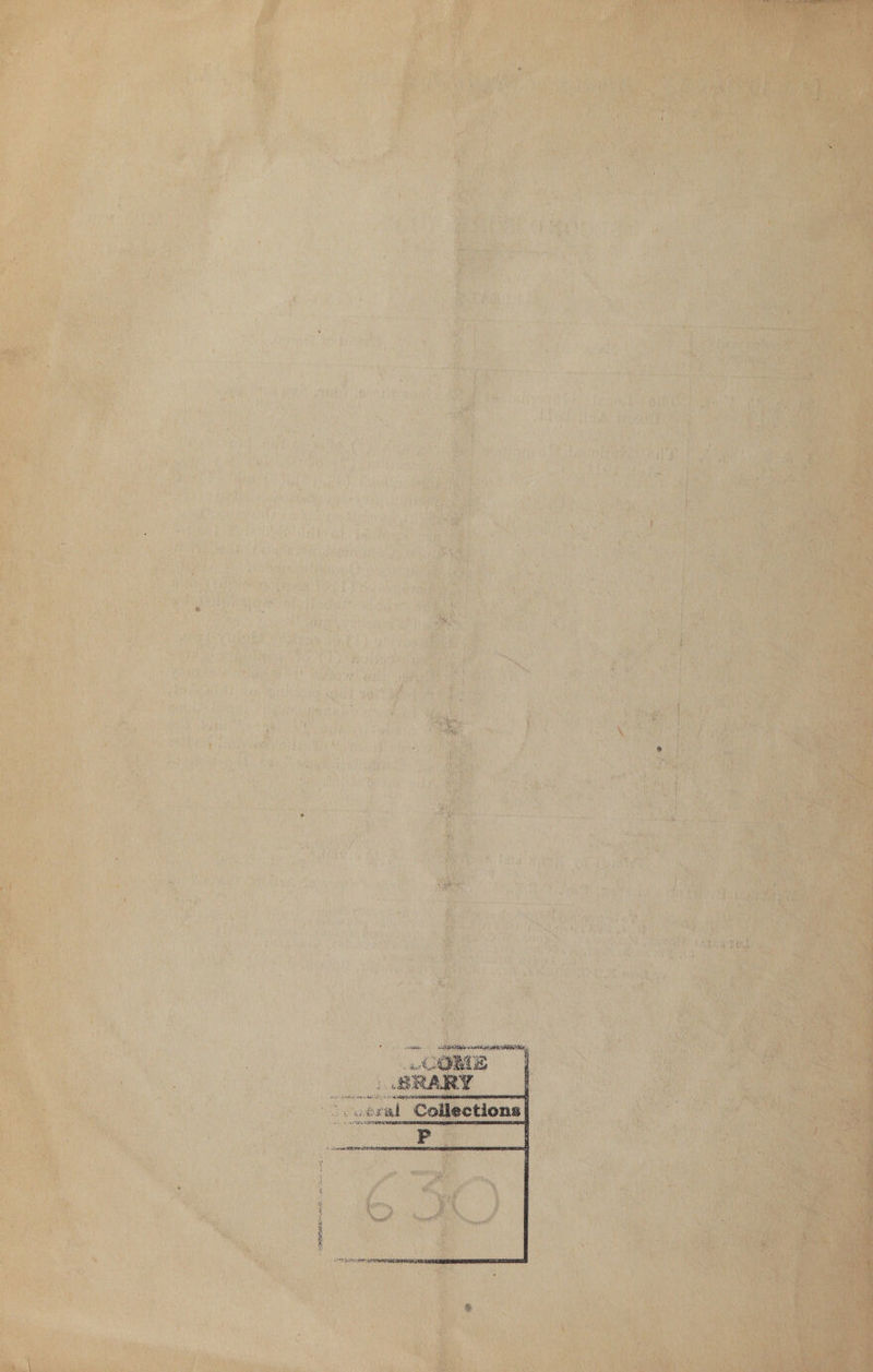 bi - Ma ch chee ak, greet renee ater 