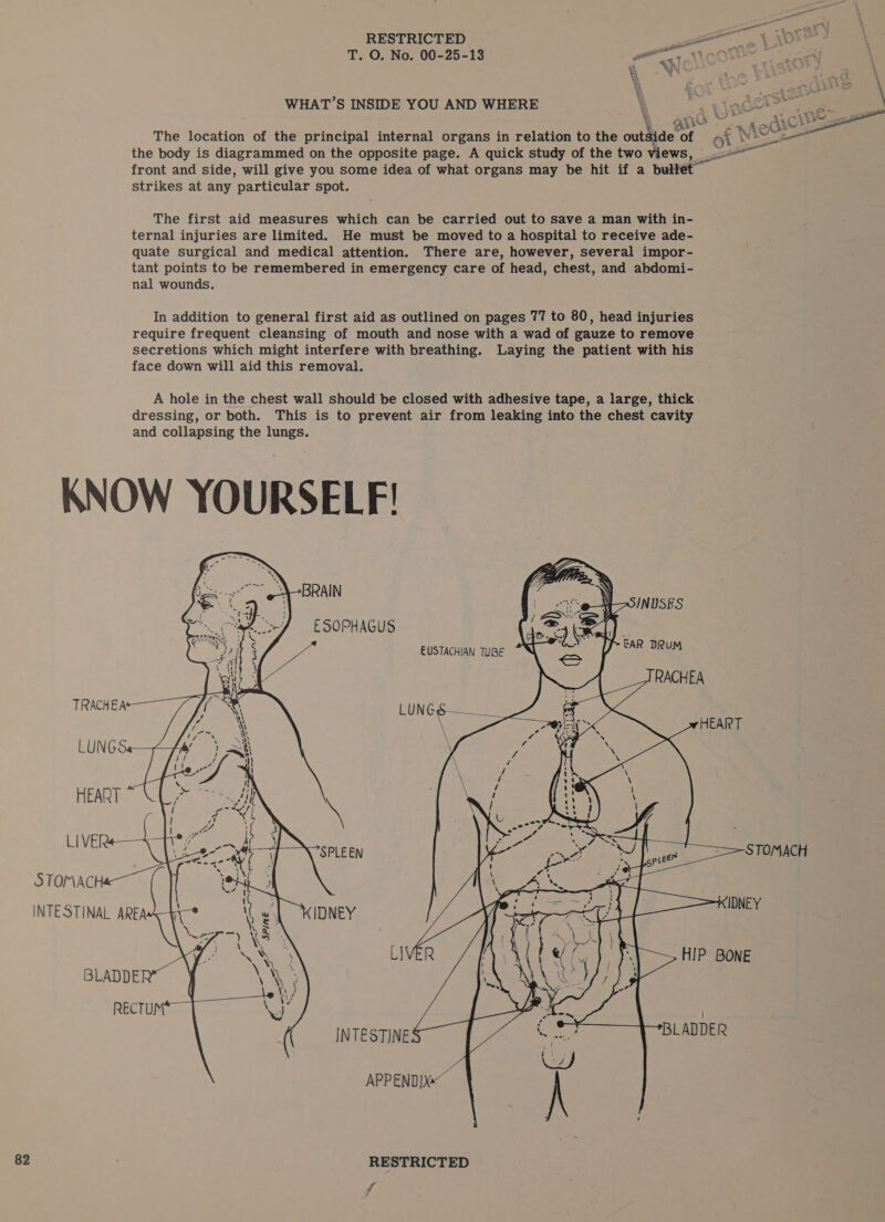 RESTRICTED oe ee T. O. No. 00-25-13 e100) \ ca AN \ \ ees WHAT’S INSIDE YOU AND WHERE \ € al WS  The location of the principal internal organs in relation to the out hide”: of the body is diagrammed on the opposite page. A quick study of the two views, a front and side, will give you some idea of what organs may be hit if a bullet strikes at any ‘particular spot. The first aid measures which can be carried out to save a man with in- ternal injuries are limited. He must be moved to a hospital to receive ade- quate surgical and medical attention. There are, however, several impor- tant points to be remembered in emergency care of head, chest, and abdomi- nal wounds. In addition to general first aid as outlined on pages 77 to 80, head injuries require frequent cleansing of mouth and nose with a wad of gauze to remove secretions which might interfere with breathing. Laying the patient with his face down will aid this removal. A hole in the chest wall should be closed with adhesive tape, a large, thick dressing, or both. This is to prevent air from leaking into the chest cavity and collapsing the lungs. KNOW YOURSELF! Bs BRAIN ESOPHAGUS      TRACHEA LUNGS a a a pis fh HEART ra Bags i at \ if * q ie Ly | sea ; : ) SPLEEN le oe STOMACH STOMACHe— ( }f Ye : Pe : ; i ea 2 : INTESTINAL AREAA—y IDNEY LT ee IDNEY Vz re) i a ork Af LIVER HIP BONE BLADDER | RECTUM | INTESTINES BLADDER APPENDIX«~ 82 RESTRICTED i