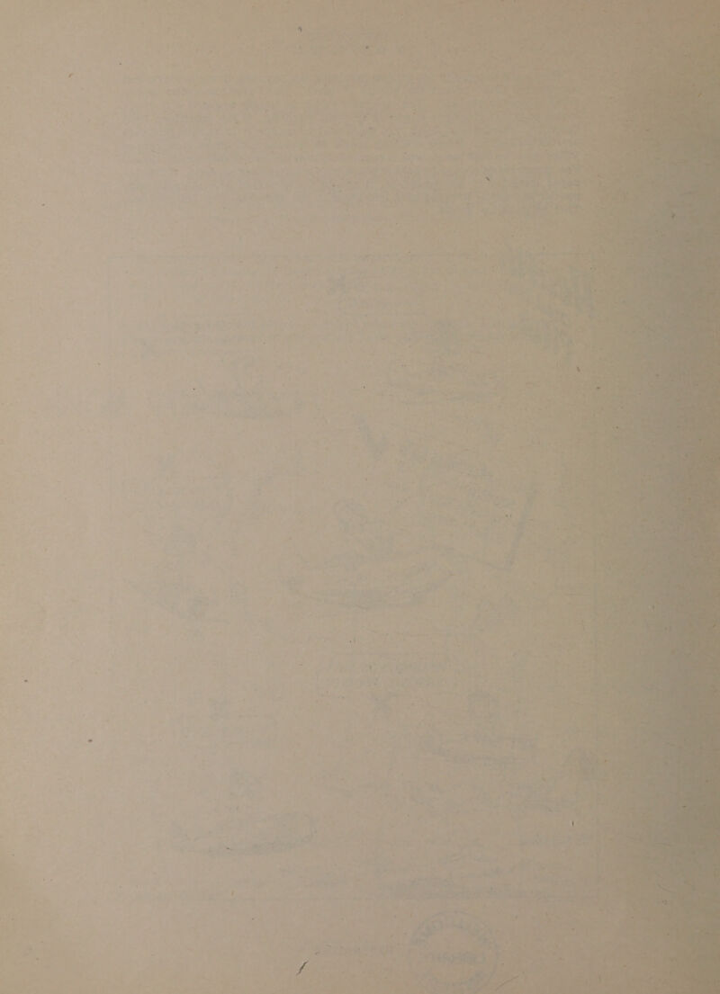} af ¥ i ‘ ; . Nal we i ny ee ae ee aaa hay oe aad Be, pt . 4 ol iy + eae he 2 ay yy has ks jee a - Sig VLA, eee ie ae pains +* * Heh § ere es ‘fa Sor on as ie . i 5 : are ; ¥ = ' me i ahha ‘ . oe es % % res . 4 i mT - . peas | Spey oa ee ital ; rita. meat te ; ’ . = ’ Ne 3. 7 *4 Fe ’ ‘ib, nf PITRE ¢ By Ba ot Spot MES athe F ? i RE eu pire