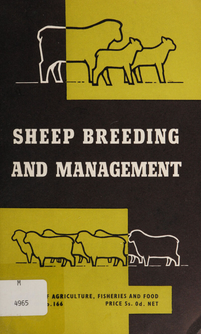 p SHEEP BREEDING AND MANAGEMENT ~ oes NE eg —_——— M 4965