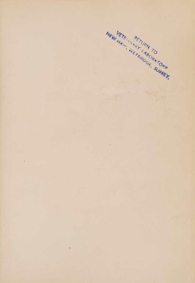 digitised image 3
