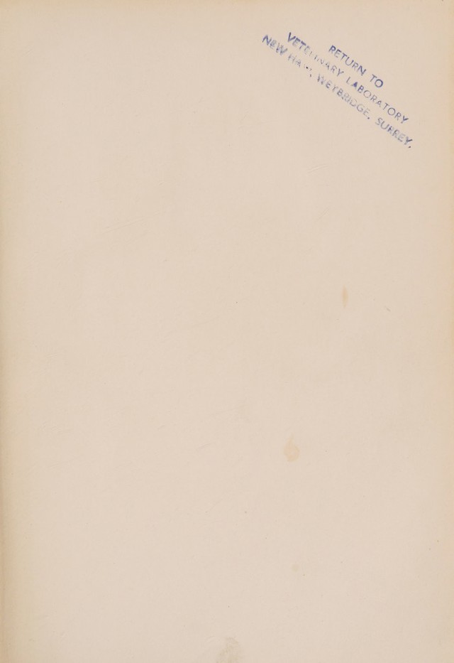 digitised image 3
