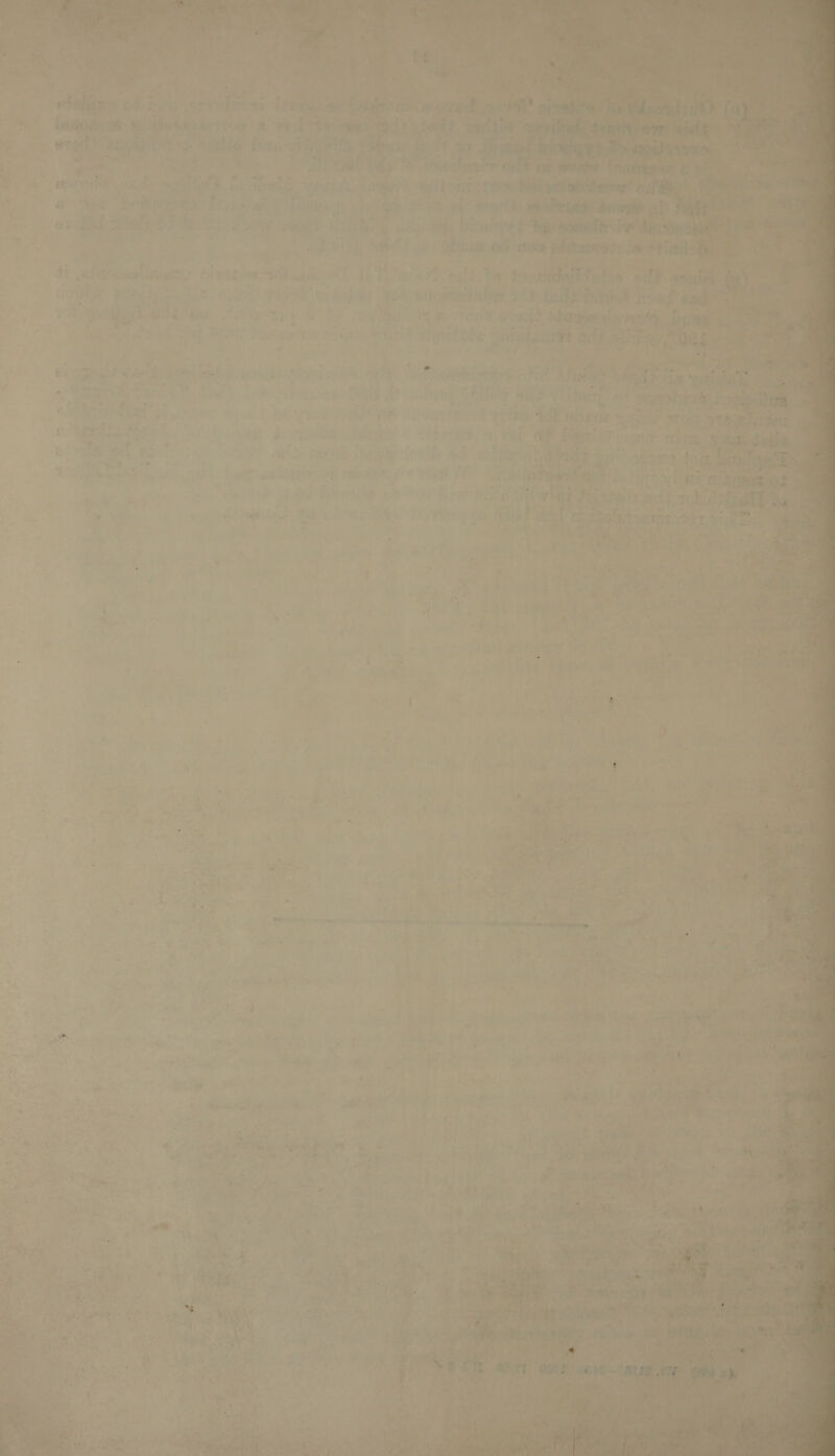          - ie wh i ‘@ be ee PW ats 1 us 3 ce wheligzs Gd-biw sevabis s ‘Se teegget ene i a ae         rs ae ral one +. bute : 2% F a ered! cos vue ie $F tad a lig f Mt Ps Ce &gt;. - % an : i Sy: &gt; 4 m &lt;2,  nn by Fe r a a ae &gt; , Viti 5 We STAID, hints SED A * + Ae tard pr He ve ‘ s . : és: au Shek” Revere ete TP ire a ae . r . } : 5 2 + ay ; : ae Bs . ‘ : tte. ; - oe Wo j Yad te jabra PR y .  y &lt;2 ? a _ - $« ¢ . ad ¢ 4 ; , iF eae? * Te) Ab ee ? 32 a 5 VE owt h { : BAe ; agit tw: Sa : sph esgih pn ts Si aee fee? ak Phy be) WO}. Sea ° @ -s 7 A . : if 4 ~ Fi “4 wt &amp; a + (+ sp ah- aig ise . 4 : i . q ae a) oo . ° ; , . a \ x é ‘ ~ ’ FEMS Wels siOL ae TA ACAGE 8 ; &lt; tes ve 7 fa ie ey ‘ - ® q _ ae f a P ‘ , a ° oa. . - Par .s ys a 9% ¢ el VAY &gt; : x th? ; * - ‘~—= J oe = ef ’ ia 7 r ‘ r Pics ca to “te ‘ dace ft ~ r P ‘ ee ee re og (a ER Sa we applets A “te che» &lt;i Oe Re gee 1 - : . ss s + Pit # ¥ , - | if fi hy gi Layne So be , 3 . 