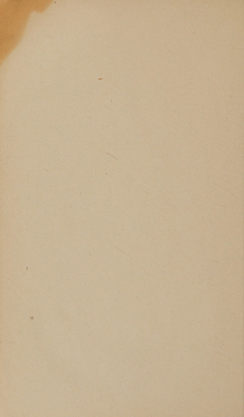         v - AJ A > ‘ rh ¥ t i ee yee wf rs i jee £ 4 1 x x ; 4 we ‘ . ‘ i z _ ar 4 “yy . eM Fs ‘ i * , ) e 2 H - ~ * , ; { } : . = ~ ’ i ‘ ’ « r                   