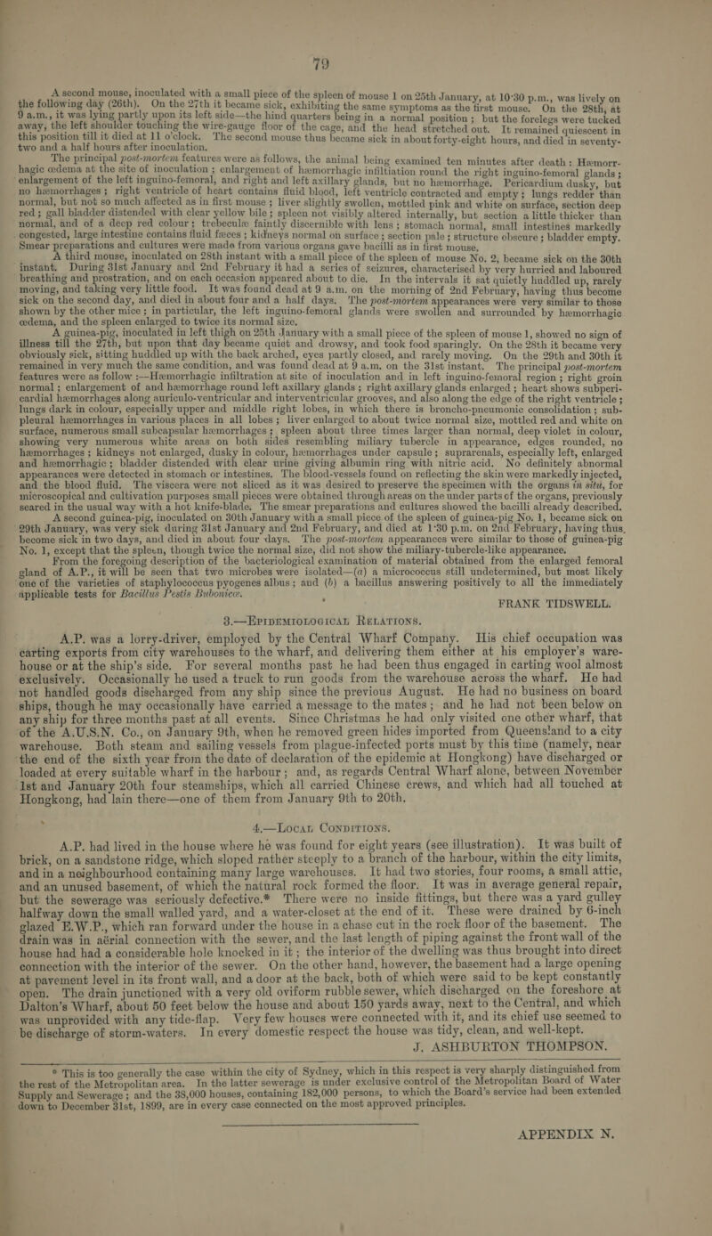 A second mouse, inoculated with a small piece of the spleen of mouse 1 on‘ ° ; dos rai : a) 25th January, at 10°30 p.m. i the following day (26th). On the 27th it became sick, exhibiting the same symptoms as the ia bap 754 bi ively a = ¥ 5 9 a,m., it was lying partly upon its left side—the hind quarters being i iti ¢ Q n a normal position; but the forelegs w away, the left. ahoulder touching the wire-gauge floor of the cage, and the head stretched out. It remained daca f< this position till it died at 11 fe) clock, The second mouse thus became sick in about forty-eight hours, and died in sevent two and a half hours after inoculation. ie ae The principal post-mortem features were as follows, the animal being exami i ; 0 ) } as al being examined ten minutes after death: Hx - hagic cedema at the site of inoculation ; enlargement of hemorrhagic infiltiation round the right Eapiucdenoiet bonds ; , no hemorrhages; right ventricle of heart contains fluid blood, left ventricle contracted j ! and empty; 1 normal, but not so much affected as in first mouse ; liver slightly swollen, mottled pink and white on anrféce, eres aeep red; gall bladder distended with clear yellow bile ; spleen not visibly altered internally, but section a little thicker than normal, and of a decp red colour; trebecule faintly discernible with lens ; stomach normal, small intestines markedly Smear preparations and cultures were mada from various organs gave bacilli as in first mouse. 7 At ird mouse, inoculated on 28th instant with a small piece of the spleen of mouse No. 2, became sick on the 30th instant. During 3lst January and 2nd February it had a series of seizures, characterised by very hurried and laboured moving, and taking very little food. It was found dead at 9 a.m. on the morning of 2nd Febru: avi sick on the second day, and died in about four and a half days. The Gouin hei bp dost adshde wate Fern Ualiat ta ele shown by the other mice ; in particular, the left inguino-femoral glands were swollen and surrounded by hemorrhagic edema, and the spleen enlarged to twice its normal size. uinea-pig, inoculated in left thigh on 25th January with a small piece of the spleen of mouse 1 7 i illness till the 27th, but upon that day became aa and drowsy, and feck food amaere On the oth it ieee obviously sick, sitting huddled up with the back arched, eyes partly closed, and rarely moving. On the 29th and 30th it remained in very much the same condition, and was found dead at 9 a.m. on the 31st instant. The principal post-mortem features were as follow :--Hemorrhagic infiltration at site of inoculation and in left inguino-femoral region ; right groin normal ; enlargement of and hemorrhage round left axillary glands ; right axillary glands enlarged ; heart shows subperi- lungs dark in colour, especially upper and middle right lobes, in which there is broncho-pneumonic consolidation ; sub- pleural hemorrhages in various places in all lobes; liver enlarged to about twice normal size, mottled red and white on surface, numerous small subcapsular hemorrhages ; spleen about three times larger than normal, deep violet in colour showing very numerous white areas on both sides resembling miliary tubercle in appearance, edges rounded, no hemorrhages ; kidneys not enlarged, dusky in colour, hemorrhages under capsule; suprarenals, especially left, enlarged and hemorrhagic; bladder distended with clear urine giving albumin ring with nitric acid. No definitely abnormal appearances were detected in stomach or intestines. The blood-vessels found on reflecting the skin were markedly injected, and the blood fluid. The viscera were not sliced as it was desired to preserve the specimen with the organs 7 siti, for microscopical and cultivation purposes small pieces were obtained through areas on the under parts of the organs, previously seared in the usual way with a hot knife-blade. The smear preparations and cultures showed the bacilli already described. A second guinea-pig, inoculated on 80th January with a small piece of the spleen of guinea-pig No. 1, became sick on become sick in two days, and died in about four days. The post-mortem appearances were similar to those of guinea-pig No, 1, except that the spleen, though twice the normal size, did not show the miliary-tubercle-like appearance. From the foregoing description of the bacteriological examination of material obtained from the enlarged femoral gland of A.P., it will be seen that two microbes were isolated—(a) a micrococcus still undetermined, but most likely one of the varieties of staphylococcus pyogenes albus; and (b) a bacillus answering positively to all the immediately ‘applicable tests for Bacillus Pestis Bubonice. : FRANK TIDSWELL. 3.—HPIDEMIOLOGICAL RELATIONS. A.P. was a lorry-driver, employed by the Central Wharf Company. His chief occupation was house or at the ship’s side. For several months past he had been thus engaged in carting wool almost exclusively. Occasionally he used a truck to run goods from the warehouse across the wharf. He had not handled goods discharged from any ship since the previous August. He had no business on board ships, though he may occasionally have carried a message to the mates; and he had not been below on any ship for three months past at all events. Since Christmas he had only visited one other wharf, that of the A.U.S.N. Co., on January 9th, when he removed green hides imported from Queenstand to a city warehouse. Both steam and sailing vessels from plague-infected ports must by this time (namely, near loaded at every suitable wharf in the harbour; and, as regards Central Wharf alone, between November ; 4,—Locan Conprrrons. A.P. had lived in the house where he was found for eight years (see illustration). It was built of brick, on a sandstone ridge, which sloped rather steeply to a branch of the harbour, within the city limits, and in a neighbourhood containing many large warchouses. It had two stories, four rooms, a small attic, and an unused basement, of which the natural rock formed the floor. It was in average general repair, but the sewerage was seriously defective.* There were no inside fittings, but there was a yard gulley halfway down the small walled yard, and a water-closet at the end of it. These were drained by 6-inch glazed E.W.P., which ran forward under the house in a chase cut in the rock floor of the basement. The drain was in aérial connection with the sewer, and the last length of piping against the front wall of the house had had a considerable hole knocked in it; the interior of the dwelling was thus brought into direct connection with the interior of the sewer. On the other hand, however, the basement had a large opening at pavement level in its front wall, and a door at the back, both of which were said to be kept constantly open. The drain junctioned with a very old oviform rubble sewer, which discharged on the foreshore at Dalton’s Wharf, about 50 feet below the house and about 150 yards away, next to the Central, and which was unprovided with any tide-flap. Very few houses were connected with it, and its chief use seemed to be discharge of storm-waters. In every domestic respect the house was tidy, clean, and well-kept. J. ASHBURTON THOMPSON.   * This is too generally the case within the city of Sydney, which in this respect is very sharply distinguished from the rest of the Metropolitan area. In the latter sewerage is under exclusive control of the Metropolitan Board of Water Supply and Sewerage ; and the 38,000 houses, containing 182, 000 persons, to which the Board’s service had been extended down to December 31st, 1899, are in every case connected on the most approved principles. EEE EEE