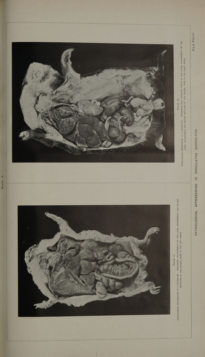 'SOId-VANIND GALVINOONI NI SAONVYVEddVY TIWOIDOTOHLVd ‘9NSPLL YUDAT  AMVITIN ONY LNSWS9Y¥VIN’ “SAN *SId-VANIND V NI SSONVYVSdd¥ IVOISOIOHLVd *NIOHD 1337 3HL NI O8NE *N331dS J3HL AO ONITLLOW “DId-VANIND V NI SSONVYVASddY IVOISOIOHLVd NIOHD LHDIN S3HL NI OSNS *N331dS 3HL JO ONIILLOW 3H1 JO LNSWS9DYVINS ‘SONNT SHL NI SLNIOd OILOHOSN HLIM VINOWN3ANd      ‘§€ s3iv1g 