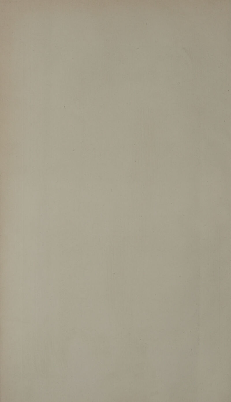 pte! Fret ~ Nye oe So a AF: — 4 4 ‘fe me os ys J mae, oT ff Ln ; ; : a ht ee 7 ae Le aah es hata fone os > 