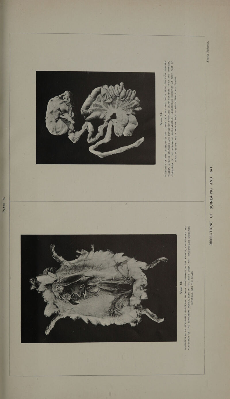   “PJOUNSPLE YUDAT SGNV1D HdWA1 OINSLNSSSW N3TIOMS 4O SSYW V GNV “SNILSSLNI 39YV1 *$1aSS3A-d0018 OINSLNSSSW 3HL 4O NOILSSONNOO OSNOD CNV GA3DYVINZ SNIMOHS ‘VHSOSIA JO 1HVd ISHld LV NOILVONXS SISVHYYOWR?H HOVWOLS 3HL HLIM G3LOSNNOO GNW1ID OILVHdWAT 03183 V dO LOVHYL IVNILSSLNI-O¥LSVYS 3HL 4O NOILOASSIG    GNV AIN3SWSSYVING “SAANGIM SHI NI “SId-VANIND GALVINOONI    ‘p aLvid NV 4O NOILO3SSIO 