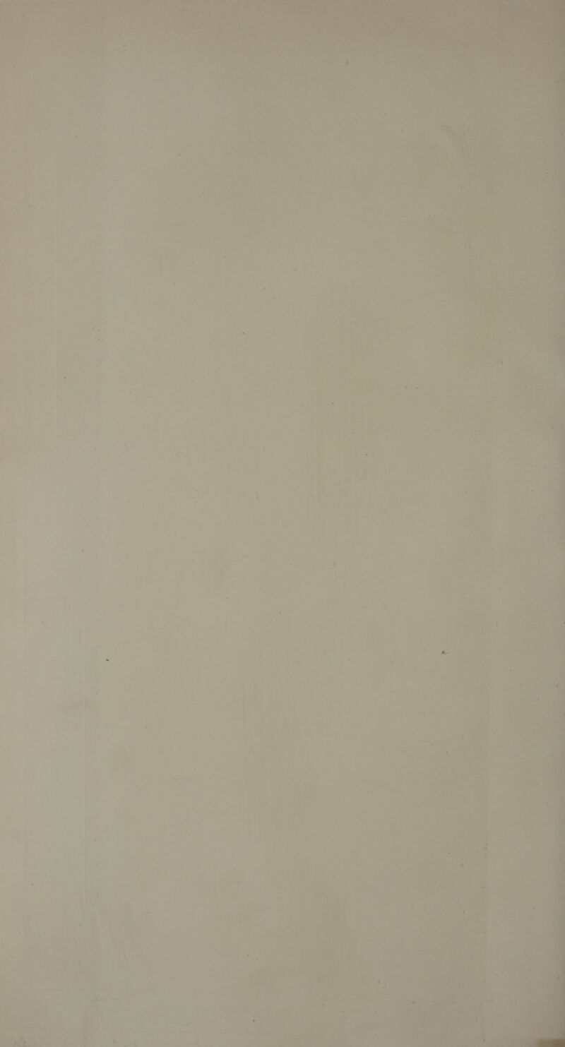   Vike sire ; A _ “ Fae ; eo) Ana; Se § { % es et a — } 4 =~ 5 e ae 43 