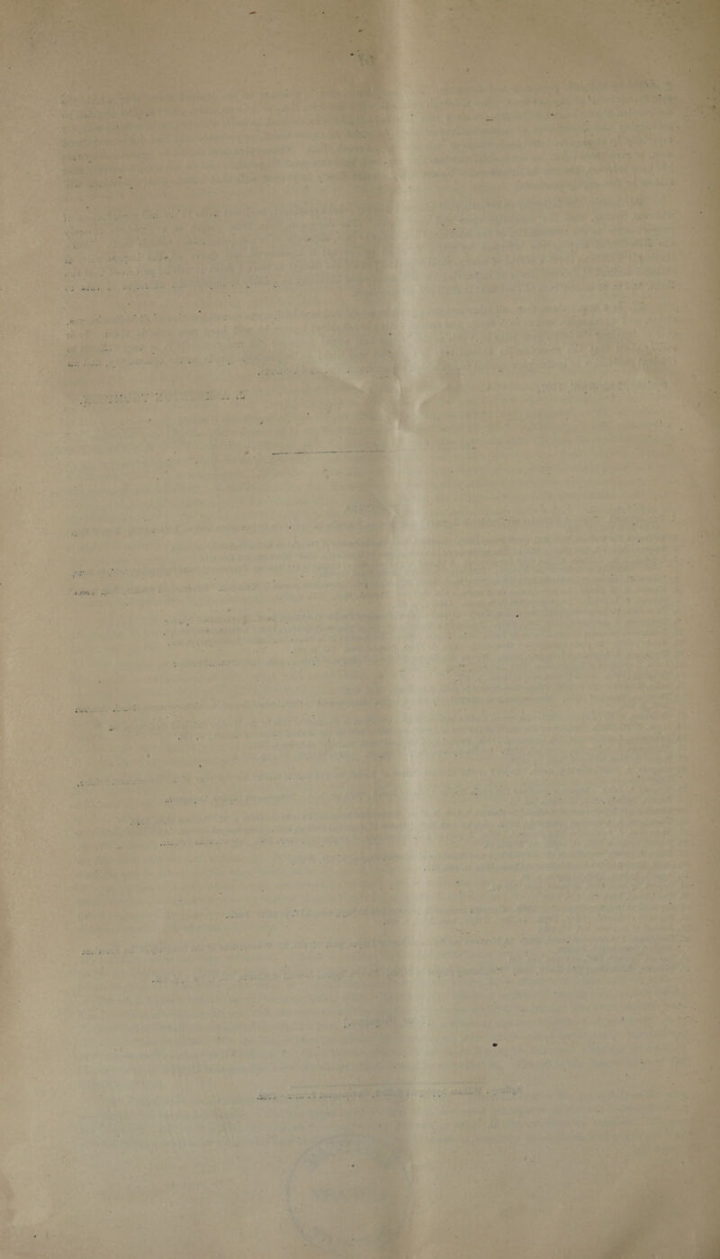   So lh Pre ed 1g. tie = . 7 aa ee 9 ia)   § - ‘ AIG ae me eke 4 SRa ane 