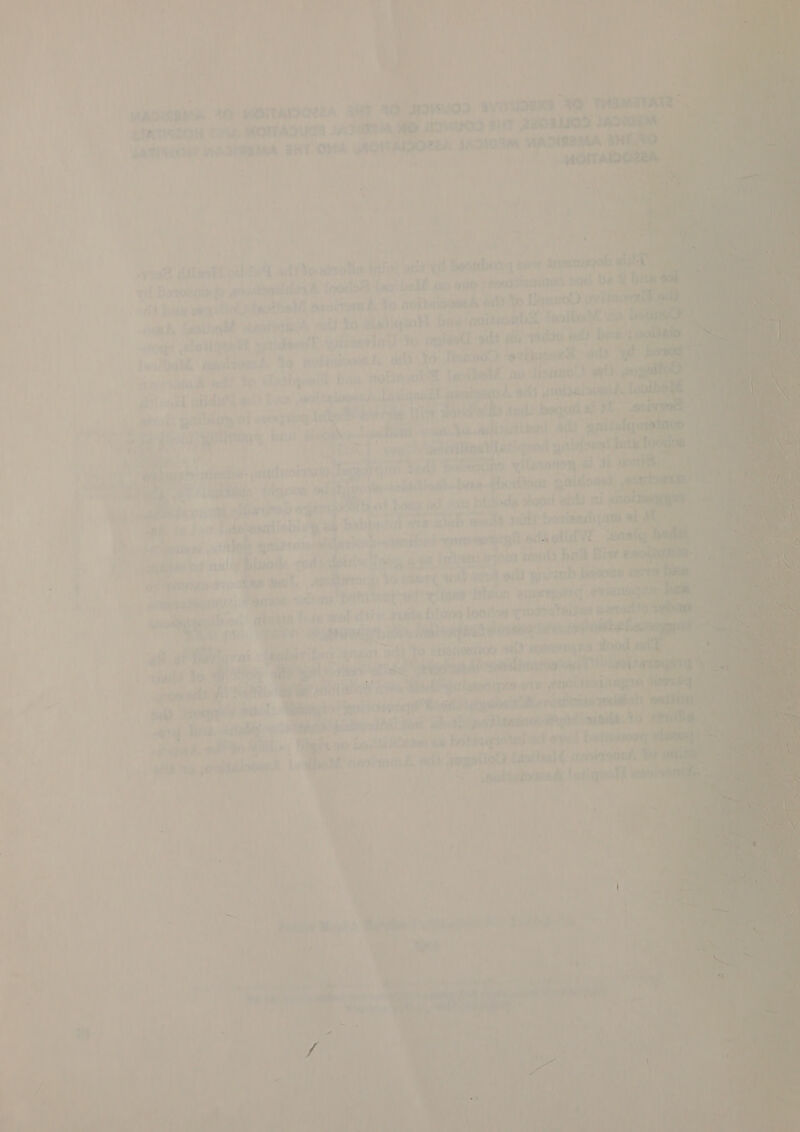   ‘ wane Sas 7 Z » i? 9 7 ’ [ts % iu i unlit ay My a : | ; il 97 | ¢ ' / : - I 4 7 hee , vt ; he wm surriio? J } ath nl 6 edi a om Leirtar 2) i: AW. ho: Qo astew Be | 7e ‘ pear re ' Tia ayes treet 7 ’ Osa. ‘ - : f As ay i: . se” Shy 2 te) D VA ; TRATION’ CMA MOITADU TA A DUO. a es ne pein peasants INA BRT OYA MOITAERORTA 4 303M. ARNT uott ! E , ‘ i tj 1} y iperm ' t , sf pit 4 Tl AR A~ +r hae oh: Lento VATE é : roryrteithtice, AGRE bet ee ao k. Dial Oreo nm *% | evint) Yo cain od? ao waite 47 Date , ne) tibet -adt eee ? ’ . pare ‘be bk no Ltonure orf, +, | L anaissers.h. Bil acne aoa uy i y a. wi) &amp; xycuih it at. _* \ ; eer ie “une. x ‘ Me &gt; Eli bef sane Sat ix vir : 4 it «&gt; OY] ute + | rire  44 tan} boskeadqatmes ai ‘ aco ae , alt lid VE ly . rad = ; } ; 7 dy arth ihive e008 ard Wert nol bean te 2 » 4 Fi\ f : yf 2  jes us ; joan ah ses ri’ Roh: 4 y ol: y x ie a 7 iy Ho her hagorty xe otk eee Te } ; ly 7 ; — ida erawe &gt; | ¥ i RAS tee F i . SP ste rs F ms TF ‘vig Bed | ' z iv . ° . ; d i LLIOn# bee ray @ : smorighe A —* * . ‘ + Aes p a h %, Sand L “ 7 i Lh ha Pail aa 7 4 - ? ; 4 : eo? ya) at ‘ i tA 