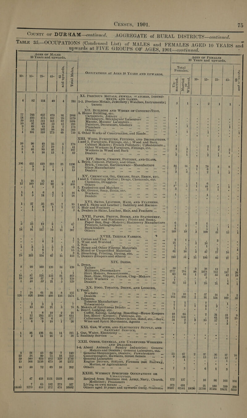    10- | 15- 25- t 65 and upwards, Total Males, OccuPATIONS at AGES 10 Years AND UPWARDS, 4 82) -114 10 97 126 9 68 63 7 53 182 4 104 310 10 90 40 5 8 17 8 46 80 1 8 16 106 432 410   ; 1 k 1 4 6 1 5| 44 Sa a ee ‘ 4 6 ; 1 1 5{| 35] 39 : 1 1 1%{ 1! 17 : ‘ 4 1 3 5 ; 1 6 é ‘ 3 25| 183| 154 8| 99! 160 18 87 | 124  40} 59 7| 128 61 126} 826| 1006 2 3 : 13/ 33 , 1 8 : 12} 293 Bl sep ong Z 6 9 1| 36| 126 1 2) 3! orl 45 a2\ 58| 80 59 500 633 1 508] 1116 10; 5O| 72 { J | 47| 418 3 7; 65 14448 | 1270) 418  40 470 167 3il 98 273 25 10 46 13 1 Ormco om Ge so 138 153 21 31 400 75 412 675 1141 182 272  4 PAIR OT 38  “or a mina  2419 273 474  244 2088 1179 1484 298 173 306 759 170 95 140 253 1732 2372 202 4035 527 16882  XI. Precious Mrrats, JEWELS, WarcHys, INSTRU- 5 : MENTS, AND GAMES. 1-5. Precious Metals, Jewellery ; Watches, Instruments; ames XII. BuILDING AND WorRKS oF CONSTRUCTION. 1, House Building, etc. ; Carpenters, Joiners Br: ks Bricklayers, Bricklayers’ Labourers Masons, Masons’ La)ourers... Painters, Decorators, Glaziers $e ibe Ne oa Plumbers ... aa es ae ova Hs = ae Others 03 +“ x oes oe oa x err 2. Other Works of Construction, and Roads... ae land 2. Furniture, Fittings, ete.; Wood and Bark. Cabinet Makers; French Polishers; Upholsterers... Other Workers in Furniture, Fittings, etc. ... ae Workers in Wood and Bark ee es Se Dealers a as xt ae ‘a as a ans XIV. BrRIcK, CEMENT, PorrerRy, AND GLASS, 1. Brick, Cement, Pottery, and Glass. Brick, Cement, Earthenware—Manufacture e Glass Manufacture ... sae te ae Bee a Dealers oa an Bee ae on ae XV. CHEMICALS, OIL, GREASE, SOAP, RESIN, ETC. land 3. Colouring Matter; Drugs, Chemicals, ete. Chemists, Druggists Z Others os see a ren maf eh ace b-- 2. Explosives and Matches ... ay oe sen ie Pe 4, Oil, Grease, Soap, Resin, ete. Workers — ... site a ane AA ay “rs at Dealers at 42 fee ae mn ee oe Re XVI. SKINS, LEATHER, HAIR, AND FEATHERS. land 2, Skins and Leather ; Saddlery and Harness 4, Dealers in Skins, Leather, Hair, and Feathers xy se XVII. PaPEeR, PRINTS, BooKs, AND STATIONERY. land 2. Paper and Stationery; Prints and Books. Printers, Lithographers Bookbinders ae ae ae oe aes ae an Others ae ae ere oe re ave Act ody XVII. Texrite Fasrics. ch 1. Cottonand Flax .., pas see act “Ht, oat ae 2. Wool and Worsted 48 ee ae aot aoe eae 3. Silk a “0 rt re +7 - ae aoe ae 4, Hemp and Other Fibrous Materials Sa ie aa 5. Mixed or Unspecified Materials ave aoe “0 are 6. Sa ptiene Printing, Dyeing, ete. ... #5 a ora 7. Dealers (Drapers and others) ... 0 te nn ate XIX. Dress. 1, Dress. TAMGYS! © » (se He ae ver aa aoe nor Hy Milliners, Dressmakers as oF Shirt Makers, Seamstresses... * oe er rob Boot, Shoe, Slipper, Patten, Clog—Makers - .., Ba Other Workers ... see He a8 “55 oe aed Dealers a ro “oe ate are oe aa ak XX. Foop, Tosacco, Drink, AND LopGING, 1.°Food. .* : 2 ’  vs Workers is ite +e aan or oe ter bee Dealers wes ses ise pra aoe pom icce aa 2. Tobacco. Tobacco Manufacture ... Sed cea on or ae Tobacconists +E on aes A ne 3. Makers of Spirituous Drinks .., aa ana on Ar 4, Board, Lodging, etc. : Coffee, Hating, Lodging, Boarding—House Keepers Inn, Hotel—Keepers; Publicans, etc. ... ae at Cellarmen; Barmen; Others in Inn, Hotel, ete.—Seryv. Wine and Spirit Merchants, Agents... Men owe XXI. Gas, WATER, AND ELECTRICITY SUPPLY, AND : SANITARY SERVICE. 1. Gas, Water, Electricity :.. te ve wed Sires see 2. Sanitary Service sal fee AS Nag Me te Pi wes XXII. OrHER, GENERAL, AND UNDEFINED WORKERS ‘' AND DEALERS, 1-4. About Animals; Sundry Industries; Genera) Makers and Dealers ; General Labourers, etc. General Shopkeepers, Dealers; Pawnbrokers ee Costermongers, Hawkers, Street Sellers oF as General Labourers sent 223 a, ss “Rs os Engine Drivers, Stokers, Firemen (not Railway, Marine, or Agricultural) Others ne ane ae a ods oa = ee XXIII, WirHour SPEcIFIED OccUPATIONS OR UNoccuvi«bp, Retired from Business (not Army, Navy, Church, Medicine); Pensioners Living on own means ... os aes vas aus as Others aged 10 years and upwards (inelg. Students)  AGES OF FEMALES 10 Years and upwards.                  Total | Females. || uv a, z iad (BIE Bi] W]e | 2- | 4 [Bz RE Ree) a =) a 2 Or | + Bla 6] ? S 3 1 ; 2 1 1 1 y , : i i eign: i ; : 4 on Ae 2 2 2 Vio 1 2 3 y ; Tt ‘ : 1 ; 2 1 } 2 1 3 ; Si] 14 3| 79 8 ce ae 7 f 1 6 ; ; 3 3] : 2 I 1 3 é 7 : 1 6 , F 4° ; 7 ae 7 3 i : 3 ~ 2 . c n 4 : 3 : | | 6 2 4 ; : ; 1 i 1 i é ro eee 5 i ; ; 148 19 3/ 109| 41 13 18 ty 2 1 : : 3 : : 21 : Si 38 . ; ; 1 : ; 1 } ; d 1 i z A 2 5 4 61 18 a nae oo a 10, Nar 244} Sl 4 11) 18] 66| a7] &amp; 50 7 3] 38 3 2 | era 2727 | 284i 98] 1978] 762] 17] 9 es 61 DP) 97 1 351 a9 ae A} ° 3 : F - 1 i f i 1 ; 42 2 1) 695 tray 6h 73 10 7 57 4 3 2 183} 2921) 2] 91] 154]. 169} 5g ee fe hat oe : 7 ee 4 3 - : 1 ; P 1 ‘ . 18| 65 s 2] 31 41! 9 TM |B - | 61} 79] 95 5 2 3| 35] 47 1 ; 4 3 P : x Shar e . e ° ° . . | 55| 67 | 2 37 61 a7] 4 36 - 13 15 12 : 1 ; ; f 1 ; . / . . . . s . 7 si}. 6 1 3 | 172| 137 , 16/ 86| 103! 104    373 691 &gt; 21 180 359 | 50 38467 | 62581 | 18090 21708 | 37584 18431 5235