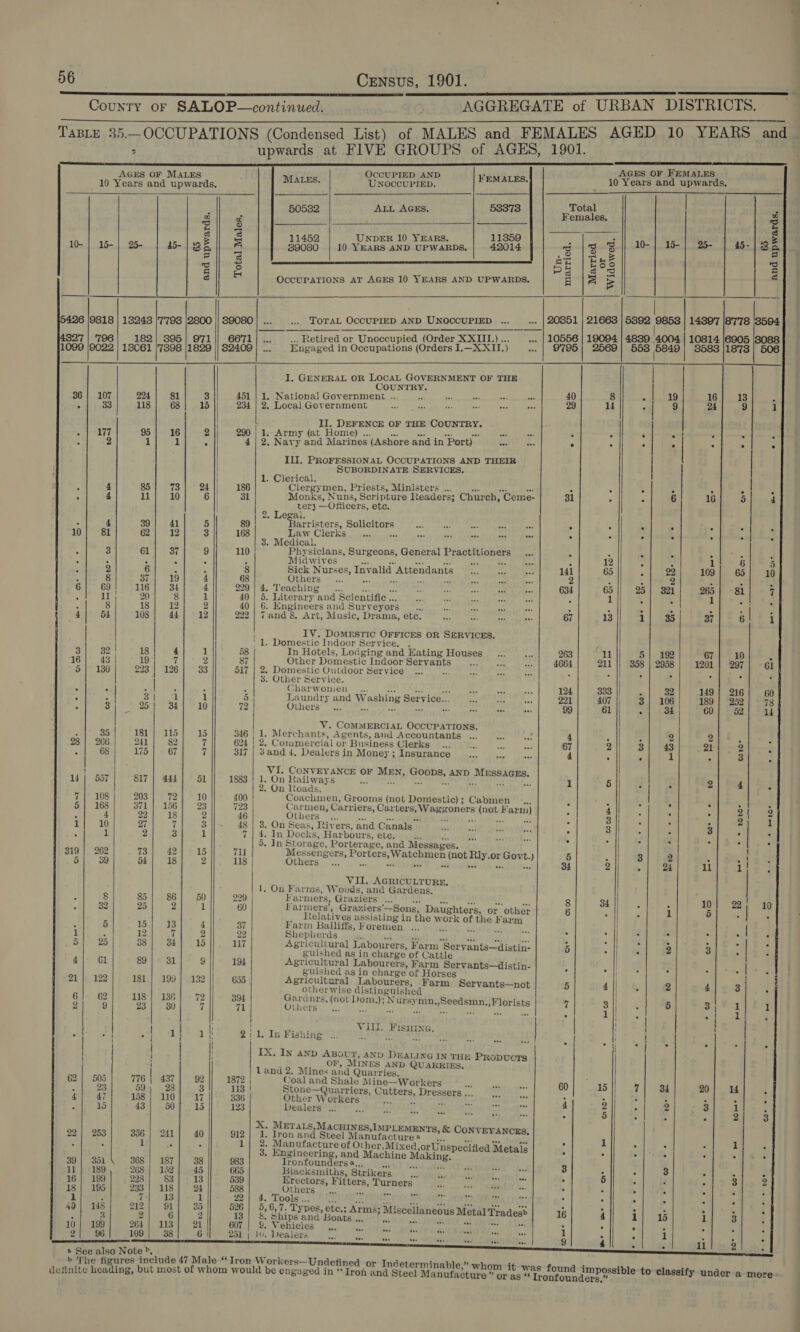   *  ~ 7          OccUPIED AND                             AGES OF MALES r 10 Years and upwards, MALES. UNOCCUPIED. FEMALES. 10 Years and upwards, 5 ALL AGES, 53373 Total F 3g g mops Females, a | z| &amp; F 3 3 r 11452 UNDER 10 YEARS. 11359 , : 5 = 10-| 15-| 25 | 45-|gE || A 39080 | 10 YEARS AND UPwaRps, | 42014 | BoB} Ale Me ee 2 ei 3S ae | Bee rg ei és Palas 3 e Fa OCCUPATIONS AT AGES 10 YEARS AND UPWARDS. feo = 9818 | 13248 |'7'798 |2800 || 89080 | ... TOTAL OCCUPIED AND UNOCCUPIED ..._ ... | 20851 | 21663 | 5892 et: | 14397 |8778 3594 796 182 | 395 1|| 6671 . Retired or Unoccupied (Order XXIII.) .. .. | 10556 | 19094 | 4839 4004 | 10814 |6905 |8088 9022 | 18061 |'7898 1839 82409 Engaged i in Occupations (Orders I.—X XII. y .. | 97295) 2569 4038 a eh) SFR ele ea 3588 |}1878 | 506 I. GENERAL OR LOCAL GOVERNMENT OF THE CouNtE® 107 224) 81 3 451 | 1. National Government ... 40 8 19 16] 13 33 118 68 15 234 | 2. Local Government 29 14 | 9 24 9 1 | II. DEFENCE OF THE session 177 95 16 2 290 | 1. Army (at Home) . oe ie - e 5 ‘ . e 2 1 I A 4 | 2, Navy and Mari ines (Ashore and in Port) bes be . ‘ 3 % x III. PROFESSIONAL OCCUPATIONS AND THEIR { SUBORDINATE SERVICES. 1. Clerical. 4 85 73 24 186 Clergymen, Priests, Ministers ... 4 - 5 5 4 4 11 10 6 31 Monks, Nuns, Scripture Readers; Church, “Ceme- 31 5 6 16 5 | tery —Ofticers, etc. | 2, Legal. 4 39 41 5 89 ‘Barristers, pda ine = 5 . 4 4 % 81 62) 12] ° 3 168 | Law Clerks %, i é LS wee ‘ ae 3. Medical. 3 61 37 9 110 Physicians, Surgeons, General Practitioners 3 4 4 F * 5 F 5 ° ‘ Midwives are =H % 5 ‘ 1 6 2 6 s : 8 Sick Nurses, Invalid Attendants 141 5 22 109 65 1 8 | 37 19 4 68 Others 2 : 2 ‘ 3 69 116 34 4 229) 4. Teaching 634 25} 321 265 81 11 | 20 8 1 40 | 5. Literary and Scientific... : 4 ‘ cn 8 18 12 2 40 6. Engineers and Sury eyors - . &gt; 5 . . 54 108 44 12 222 | 7and 8 Art, Music, Drama, etc. 67 1 35 37 6 i IV. DoMEstic OFFICES OR SERVICES. ' 1. Domestic Indoor Service. . 3 32 18 4 1 58 In Hotels, Lodging and Eating Houses 263 5| 192 67 10 16 43 | 19 7 2 87 Other Domestic Indoor Spe tT 4 4664 358 | 2958 1201 | 297 5 oA lea 1378) 223°} 126 33 517 | 2. Domestic Outdoor Service 4 7 : ¢ 4 3. Other Service. . e . | 4 Charwomen _.. 124 ¥ 32 149 | 216 : : | ai i 1 5 Laundry and Washing Servi ice.. 991 3] 106 189 | 252 : 3 25°] 34 10 72 Others hy 99 4 34 60 52 V. COMMERCIAL OCCUPATIONS. 35 ASI ts 15 346 | 1. Merchants, Agents, and Accountants ... ‘ie ay 4 , 2 2 ‘ 28 | 266 241 82 7 624 | 2. Commercial or Business Clerks Ps : 67 3 43 21 2 5 68 175 67 7 317 | 3and 4. Dealers in Money ; Insurance 4 Z 1 3 3 H pie CONVEYANCE OF vai sentie, AND ieee | 537 817 | 444] 51 1883 | 1. On Railways aa 1 ; : 2 4 2. On Roads. 7] 108 203 | 72] 10 400 Coachmen, Grooms (not Domestic); Cabmen A i . A 5} 168 371 | 156 23 723 Carmen, Carriers, Carters Ler opers (not Farm) : : a 3 2| . 4 22 18 2 46 Others ; i: ae  ? 7 2 1 10 27 i 3 48 | 3. On Seas, Rivers, and Canals . ‘ : 3 5 1 2 3 1 714. In Docks, Harbours, ete. b ; : ° x 5. In§ Storage, Porterage, and Messages. { 319 | 262 73 42 15 Tu Messengers, Porters, Watchmen Lines Pe, Steg t.) 5 3 2 5 &gt;. 5 39 d4 18 2 118 Others ... As a4 : { i 34 3 24 ll 1 { VII. AGRICULTURE, | 1, On Farms, Woods, and Gardens. “ 8 85 86 50 229 | i armers, Graziers ... 8 10 99 | 10 : 32 25 2 1 60 eae a ep sisting a tne were ok or other 6 ¥ 1 5 | telatives assisting in the work of the Fa’ ; ; ] 5 5 15 13 4 37 Farm Bailiffs, F eremen x G oe : rene | 1 A 12 7 2 22 Shepherds % ¥ Z ; % e $ 5 25 38 3d 15 117 Agricultural Labourers, Farm Servants—distin- 5 E j 2 3 . | F guished as in charge of Cattle ‘ rahe i 4] G1 89] 31 9 194 Agricultural Labourers, Farm Servants—distin- | guished as in charge of Horses ¥ “A fs 3 : ; 21 |) 122 181.) 199 | 132 655 Agricultural Labourers, Farm Servants—not 5 4 || 4 3 Q aeachst : sak é other (not Dom Nun S ; 2 6 72 ardnrs, (not Yom.,); Nursy ee s +f loris 2) 9| 23] 30/ 7 71 Othcre. Lo ohee ey eo 7 Hib, ee eT ae . ° | e | t . \, } Met's Fisuing. ( { d a 1| 11 211. In Fishing ... PE SRS PUREE © AKAM | | | | t 1 . La 4 . ° ° . ° ! | | IX. In anp About, aND Duatsxe IN THE PRopucTS ; OF, MINES AND QUARRIES, 62| 505} 776] 437] 92 | EM gerna perp eo Bhale wine Woe 4 | od 2 2) alan nale Wine—W orkers 5 23 59 23 3 113 | Stone—Quarriers, Gutters, DRCASEER ‘y 2 7 34 20 if 3 4 47 158 | 110 17 336 Other Workers 4 D) x 3 F ¥ i a at 43| 50} 15|} 123 Dealers... .., ie ; | ar 215% ; X. METALS, MACHINES, IMPLEMEN m2] 263) 356) 2) 40] 912) T Inon and Steel Manufactures nt oN aEANOES, ; : x : ‘ 5 anufacture of Other,Mixed ,or Unspecified Metals A 5 . ’ 3, Engineering, and Machin Mak ‘ &lt; Y 2 G : ® 39] 35. 368] 187] 381] 983 Trontoinderee Se oe y 11 | 189 268 | 162] 45 665 Blacksmiths, Strikers $4 P Q 3 7 : : 16 | 199 228} 83] 13 539 Erectors, Fitters, durnete im : 6 2 . Q 3 2 18 | 195 233 | 118 24 588 Others .... oe 4 c 2 . ° . . . }| ae} (os! Sl asl oe 5, 56, Pay ; ; ‘ Trey ed 4 1 2 9 35 ypes, ete.; Arms; Mis ] 2 . : . . ° . 8 2 6 2 13| &amp; Ships and Boats ., ‘i cell aneous Metal Trades? 16 4 1 1 3 : 10} 199 264] 113] 21 607 | 9. Vehicles ,. bal i . . : i : 2| 96 109| 38] 6 Dale Dep letay 9 fo. i aay eee. : . . ‘ 4 — 9 4. M1 96.91 yp.4   a See also Note *, definite heading, but most of whom would be eng:  aged in ‘‘Iron and Steel Manufacture ” or as     found i “ Tronfound                                              ers,”