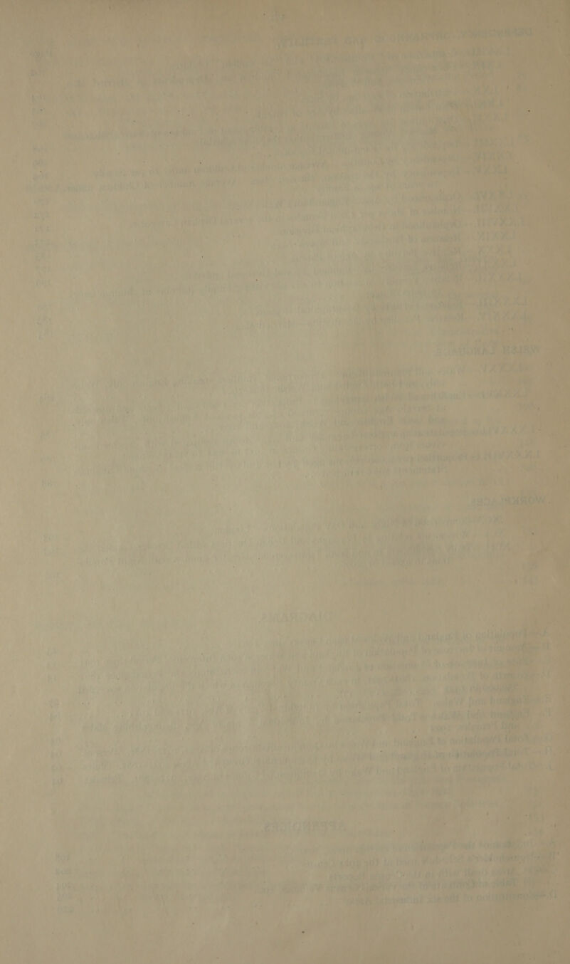      4 ey yy ra a “yeas   7 +r4 in ie rye anad sit ve v Diet ny ‘ ate ry wi Ge » ; F basi ie ory jie \ *% f i bi } iv ‘| ooh 4 Ad ae : wt ay tee cm ; i Ying ai bey ts : Sy LAM a a ‘THE alt Ms ee Us ti pe . ; rar + - THE a, ar er ; - <° ’ a ; '* a e. —— ry 5 : iP ¢,'? a o 7 a is 7 an ay uc. A . ? i @¢ : . T. vee ey rt Ps Brora . aba a? | a At   a 7 , ay i ae r lisa ot nae | at) hy FOG nut ¥ ae * Wi) nek kon via } hi si) ‘ ; { 1) ear) oh a by ak i       — chaste a ’ 2 oh Re pn }