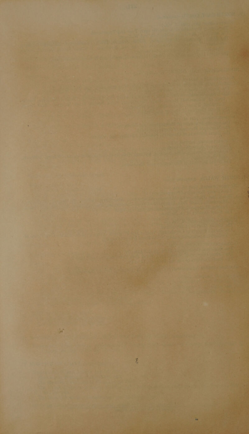   ¢ . ’ ms + oJ ‘ = i , . _ ~ , ‘ i. ta ' “ee » aa i | , . ee wey bs fe Sem ae