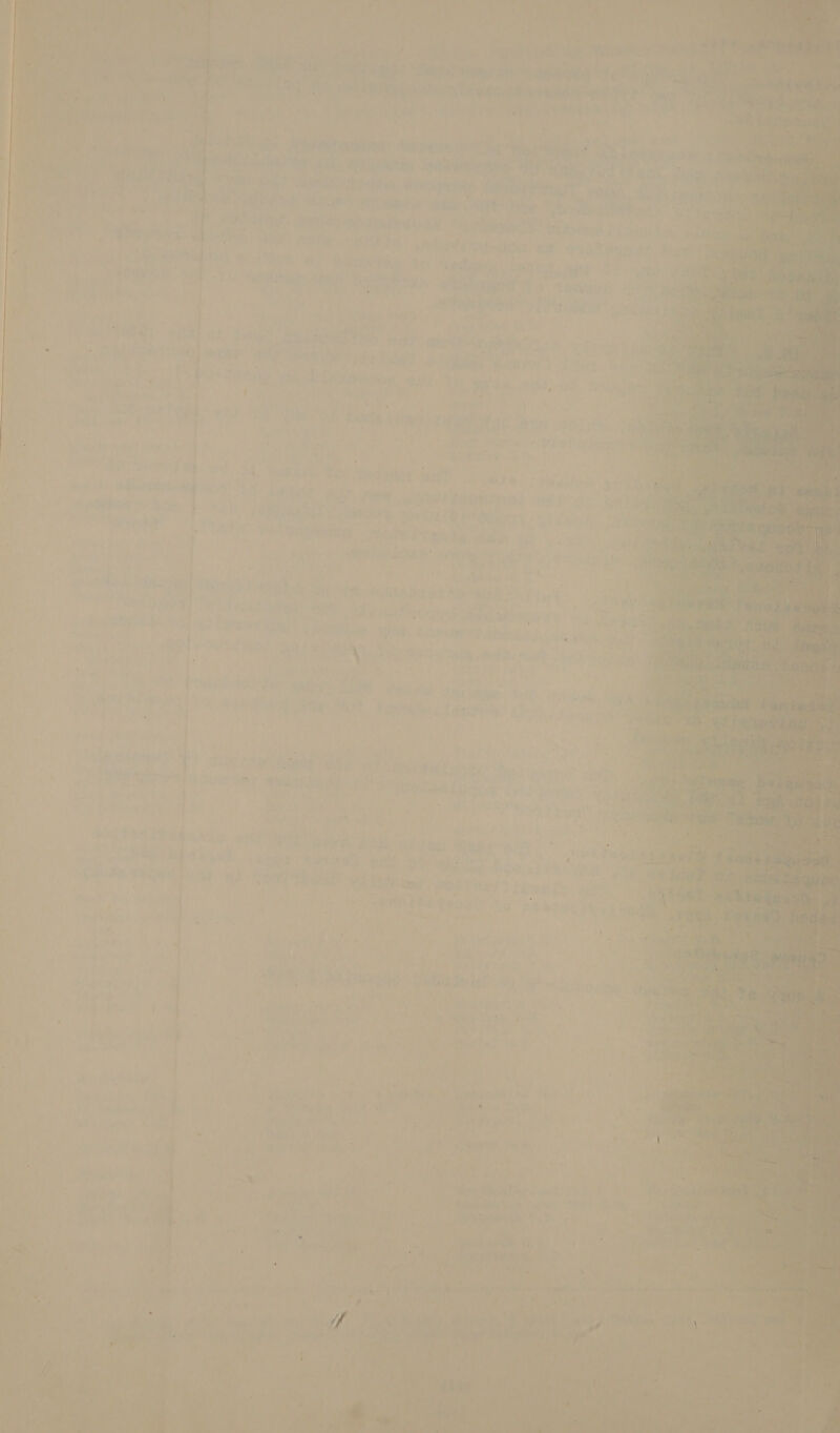 ’ ‘ j i, Aer en ee a,  i Ji ] + eaties ATs Ree is ns Bil ere MES ¢ = : ‘ pa oe i aa ea aaa Sheet nTasen sa NONAs SE: : ae f ~ 3 | j ‘ ‘'¢ pa 1 i Lin? es rai? \ . ef i y 2 ; ae ay ae Miah eateaite ers rei ve ; ry 7 rt vib <* Vipites 4 ow Upset rf sb 2 he ore ° 4 ot hs ae Vaehaest wiht ‘hear ‘Tcy ina Cie’ bids ae aeer ee ce - hat 3? uae ‘ ’ ey ; ' : 5 ak mS 7 qantt ty eet fae et? MPAA et ore Peery, - + y 3 * 44 # re. ‘ Ae a i j ; 7 x q ¢ h : : ai a Qrisai | 4 (eve rere: . ni } ‘¥ is ‘ s x F ’ 4 rs ‘ at rv ® i? pL | al Maps Me ‘ 7 ots ¢ Bey ABs at : , My rw 7 } : F ' 4 beathe wan Bi ~ } i? re a ’ + my | i : ; sta “ ; v. . re bes : ' . 7 ; <e! A ped Ae. 7 + P Z lt   : bt i ¢ é i a te ‘ ’ . a i ae ' ae ao | : D4 Ye < , se : ‘ 4 | © ‘ { a ‘ t \ i 5 é 4 { he FS 7 % + - ; .- ' hi  j 4 :  . » Le ot ¥ ; 4 ; . ee | oe o : . : mn ) ' pi rs } ¥ eT ws iy fw it : ‘ - nd he ORs 1 ; | &amp; 4k a 4 be , pire ie 5 4 ; * y 4 boy Tala hied 4 us:  2 Ary, 34) 4 yet ws © = <4 eo ae A Nk , 7 A * a. < a v Bee é , ra tne ar be : : Sia } J Shon ue é : * a Pe as Wa Fe f j ¥% ee i  io e ae 2m rt epee ints a 4 ' - ] Al, 4 ¢ Wceaetinh O i. - “al Je I in 4 td A i 7 , «dr 8 ‘eB } hs bie 7 * a wig ‘ <a ( ra } : : i    s rf bed a * ) “fs ‘ AN Ps ve