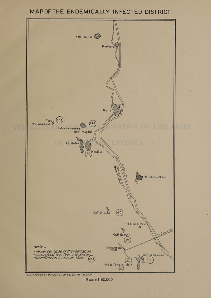 MAPOF THE ENDEMICALLY INFECTED DISTRICT Kafr Hakim Gs Ws Kombera Kafr Abu Hemeid Beni Magdtl “oy, ® *Ez, Abu Roash @ : dp e+.) a a b YA Minshobelbolkar e Q Kafr Ghatati (40) “Ez. Galal Pashys . &gt; Kafr Nassar Nole: - The percentage of the population whose blood was found to contal, a_,Kafr el Semman rucrofitariae Is Shews? thus - Gx) &gt; sh (*) a Mena House Hotel @ g © se ata! &amp;   Reproduced at the Survey of Egypt,1918. (18/547) Scale1:50,000