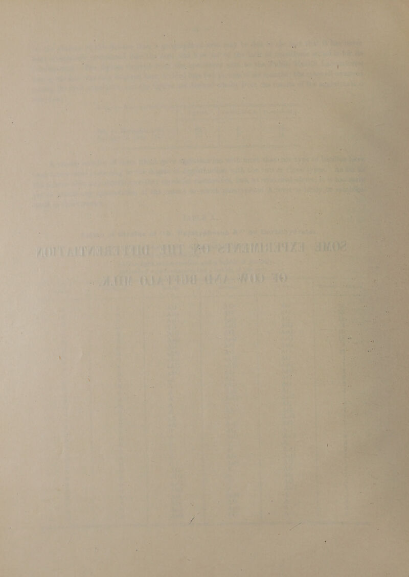 Fea” a &amp; s VaY &gt; a yk es &amp; ey 4 . j AL        oo wt ioe ae sath da aie oe iia ear ae be ‘Lagi Ni, 1 i Nivea | Pre oe ee ae a ee ie ely ‘ | o&gt; pie AS: Ser id elie ae oe = We we ie ee bie roe nt ee sate &gt; or x ‘. : * &gt; ; : rv : PY it a a 4 whey dating ( F ae r : f , ' eee fe CRAs eM { pear te eddy am: Ce etsicae *           mh. SAG eee sgt a WER i308 Watt : “4 na $3 a orp Tie? aay &lt;jeetae 4 hey ih take aed ae RED, — ah hs Se Sy : Ph oh: Peres 2 v , : : ‘ rf ; ae’ id as ’ ey eta uk ae Pe Aaky pROeHD aa oi (hare aay i Lt ee it HE. here eTreaniee ye “hewn ae ts nee Yee nets AEG OME ue 4 WD ata Re aut i ’ at ae : 4 s 4 , al ; wine . { A  , iD hal Ms \ @ ; ah ike w hd, . | ; ; r iS : &gt; ie A : g A at wht) é é a ; - AIOE OS Pa | ime ae oo * ; on =k ~-saligieegh dm ot — ss 7 me ot Sl a A f) - ral ) al gee