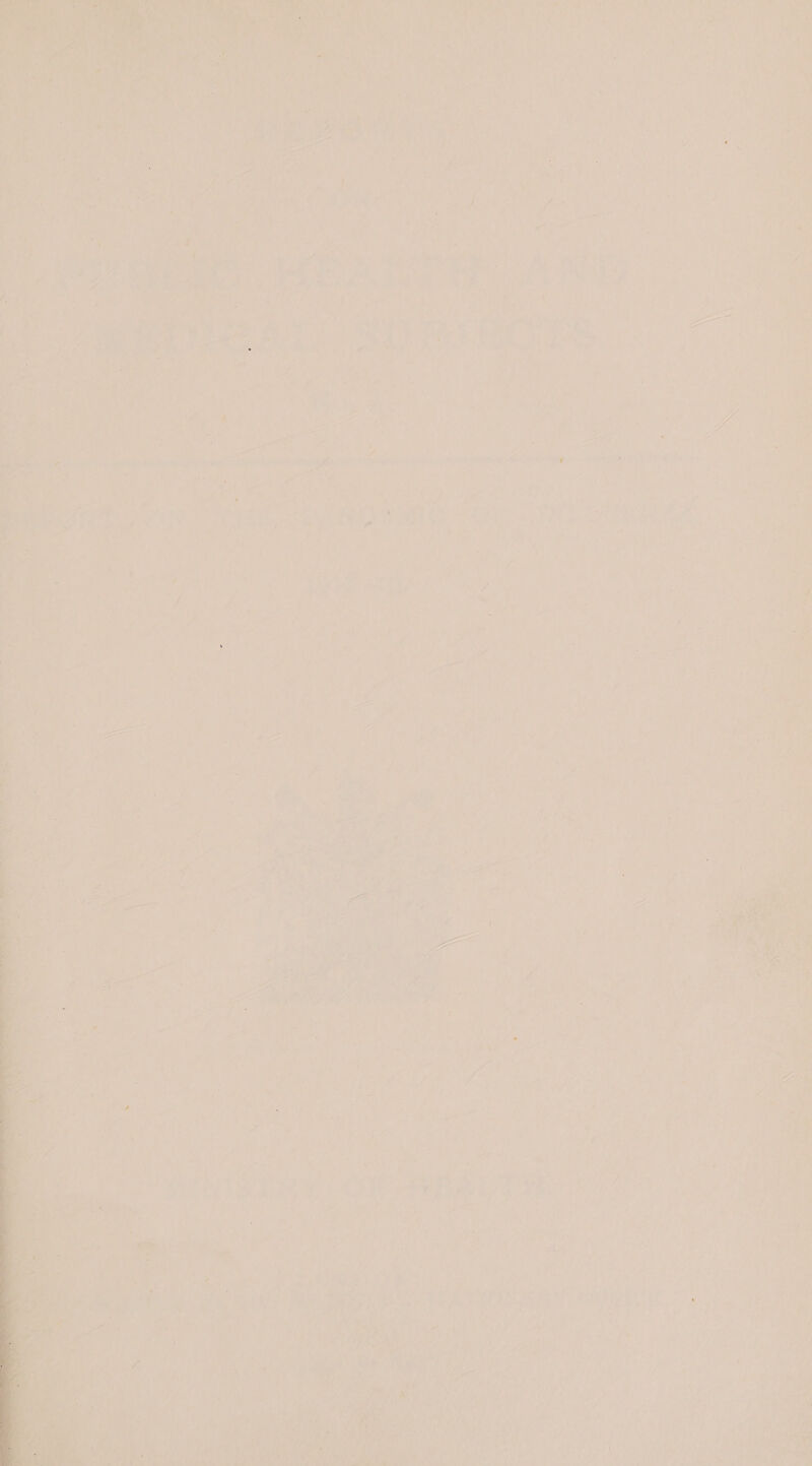 a Ee ; Nagas Ay | ae h Lay ee ‘af ve ee : A eee ee os Lf) i