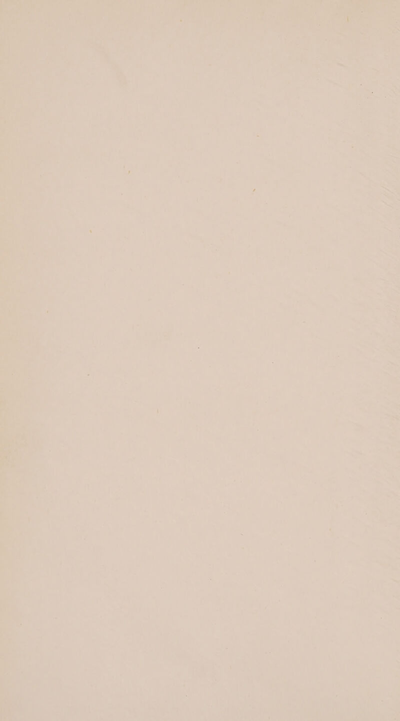 . *. / fe x ae Sd DE Cd ft: ue —_ J ee a