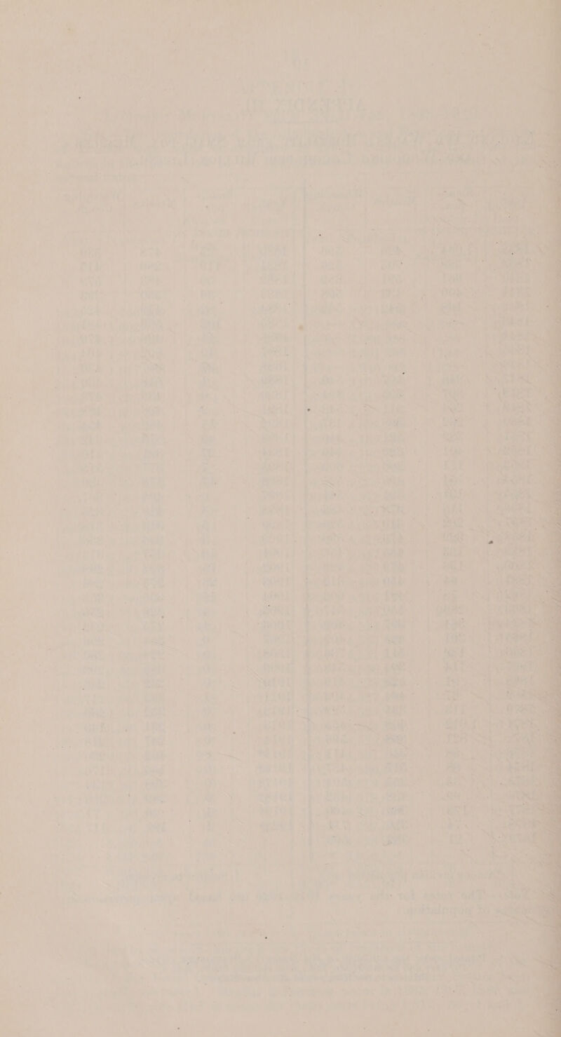         1tiJe vara) 43.5 ; 14) Fi rd Amy QQ ae     t, fe Jae -_ k iene te ss eh di perks ‘he al ps 7 vi Jape Ue « ‘ F . ‘ =F i ae ~~ &amp; SS re ba wat i ' 14 wh | “rs 4 PAM ls ‘ ‘ ie } o 4 Li t® we. a. ‘LiF elt y i ?  2 imceetmnaninnae git 1 perth x a eeteidiaiaiemetndalinimmcnteamtin ces - ay _ , wl ' * 4 « : » Pos | . 4a? i+ q i) &gt; 4 &gt; fe + ’ a’ , «ee te _ ' 4 ite + ae M beh « ie ey « ‘ . ga . ; ped £ ee | (iene a TH . hy rss, * } fii} ¥ ‘ r - 5 Nee eert vf Wi - * La ‘ “a0 5 ‘ 44s N a ewe Si “Ete + ; sie ‘ ‘ie La 1 oe spi dr, i * Cad Pa | ‘ ut he Le =, 4 Ses ]ss7 all eet ll    in nN ess vy rikseal ai Laie ft ees Ge ; year” a = anton shat | 7 aoe e atee nina Me . magia? 1 ) ye 7 ( &gt; i wer)! is) ‘¥ wid salen: esit 45 26 ity ee Enh ke bs ue Yi POA flied Ne Via, tH al ett anit set WRIA LES ta)