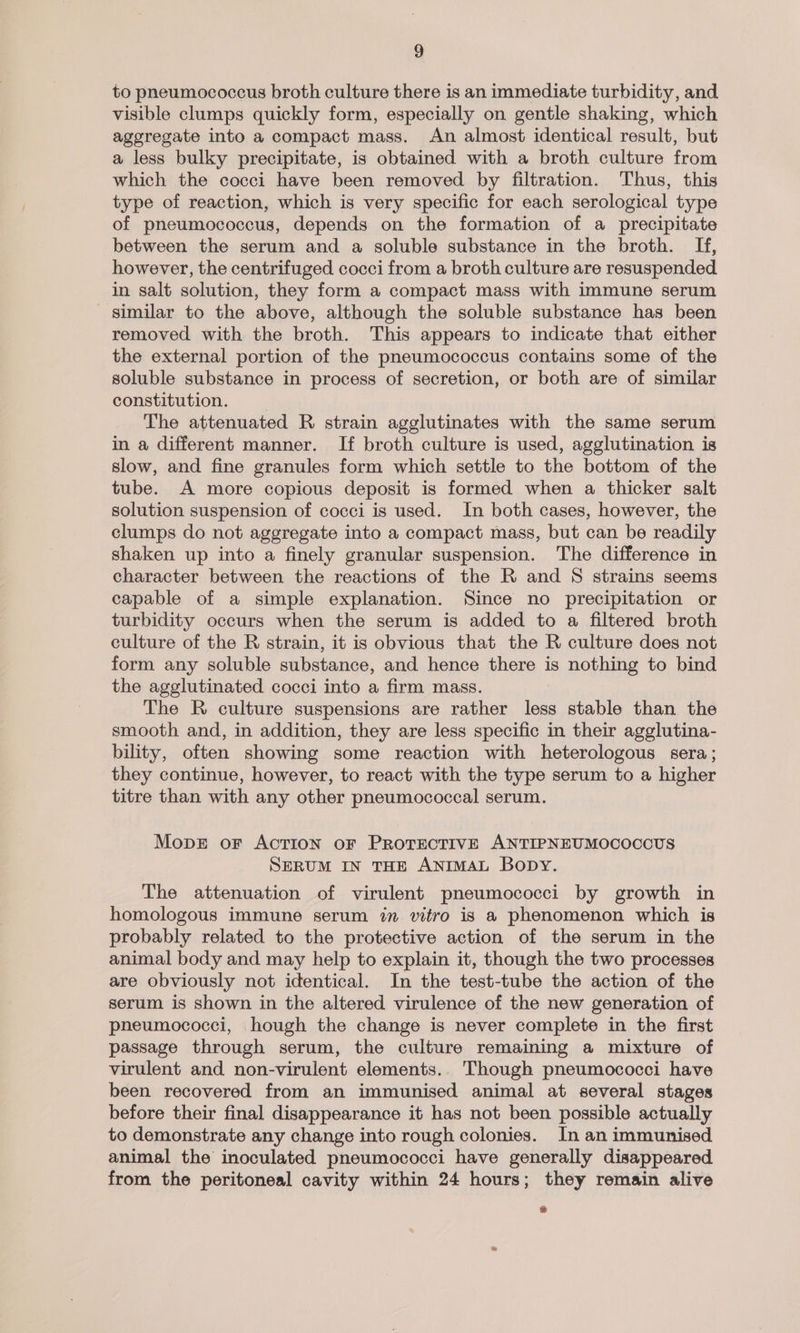 to pneumococcus broth culture there is an immediate turbidity, and visible clumps quickly form, especially on gentle shaking, which aggregate into a compact mass. An almost identical result, but a less bulky precipitate, is obtained with a broth culture from which the cocci have been removed by filtration. Thus, this type of reaction, which is very specific for each serological type of pneumococcus, depends on the formation of a precipitate between the serum and a soluble substance in the broth. If, however, the centrifuged cocci from a broth culture are resuspended in salt solution, they form a compact mass with immune serum similar to the above, although the soluble substance has been removed with the broth. This appears to indicate that either the external portion of the pneumococcus contains some of the soluble substance in process of secretion, or both are of similar constitution. The attenuated R strain agglutinates with the same serum in a different manner. If broth culture is used, agglutination is slow, and fine granules form which settle to the bottom of the tube. A more copious deposit is formed when a thicker salt solution suspension of cocci is used. In both cases, however, the clumps do not aggregate into a compact mass, but can be readily shaken up into a finely granular suspension. The difference in character between the reactions of the R and 8 strains seems capable of a simple explanation. Since no precipitation or turbidity occurs when the serum is added to a filtered broth culture of the R strain, it is obvious that the R culture does not form any soluble substance, and hence there is nothing to bind the agglutinated cocci into a firm mass. The R culture suspensions are rather less stable than the smooth and, in addition, they are less specific in their agglutina- bility, often showing some reaction with heterologous sera; they continue, however, to react with the type serum to a higher titre than with any other pneumococcal serum. Mopet or Action oF PROTECTIVE ANTIPNEUMOCOCOUS SERUM IN THE ANIMAL Bopy. The attenuation of virulent pneumococci by growth in homologous immune serum in vitro is a phenomenon which is probably related to the protective action of the serum in the animal body and may help to explain it, though the two processes are obviously not identical. In the test-tube the action of the serum is shown in the altered virulence of the new generation of pneumococci, hough the change is never complete in the first passage through serum, the culture remaining a mixture of virulent and non-virulent elements.. Though pneumococci have been recovered from an immunised animal at several stages before their final disappearance it has not been possible actually to demonstrate any change into rough colonies. In an immunised animal the inoculated pneumococci have generally disappeared from the peritoneal cavity within 24 hours; they remain alive