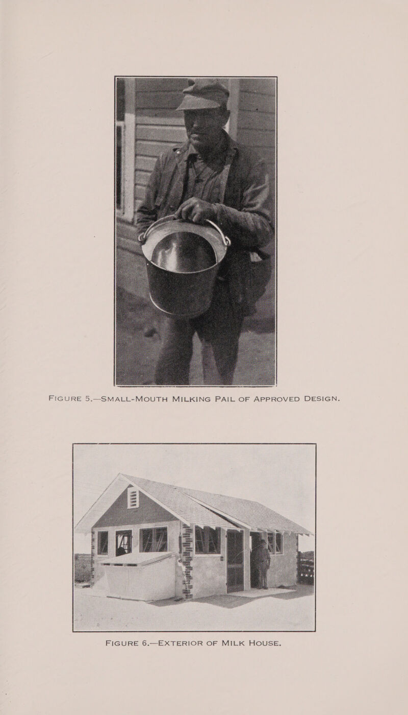  FIGURE 5.—SMALL-MOUTH MILKING PAIL OF APPROVED DESIGN. 