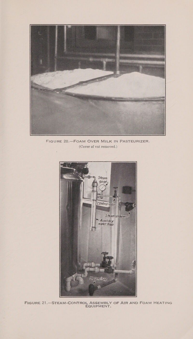  FIGURE 20.—FOAM OVER MILK IN PASTEURIZER. (Cover of vat removed.)  FIGURE 21.—STEAM-CONTROL ASSEMBLY OF AIR AND FOAM HEATING EQUIPMENT.