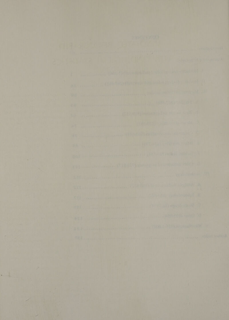                   ‘Ba y 7 . Ups 1 : oe: K : ‘ee gp ntenss sobas cont aye i ob fi ie , : aD A i? Pie ° m : 4 - ; &gt; hen at peeratihe See Ci: ae | sr me. ; iy r i 2 re ae ‘ah Oi t of ; ee ; nae: i i - o + a : ; ; lon r r; ay x Bes. oe ; i x Bs : : ws : 7 nt . s . ba F . 7 ' , 2 aR ee eee cae Wi een ult rl pi) oe Be ; ~ ; aa, swiaqoistitet a ee ae a z de Oe he Ae ae ere Wier TERPS a tT Ath (ata , a ht lata aakisehs vane whai 7h awit aie oe a A: 2 iit) aa isi Naar. Ver ¥ Cyr teiana Pay fl! Mt i ‘ ~ : J - ms . oa ral he ; r “ vt &lt; Rot We S a a4 . b i” et , oT ‘ a i! vi ¥ ee sectaceso pe ann dade WA bei lies tay? . by Bina mee eo ; x ' y : : Vj +h ' ‘ ae] oO f a is | Gane aa yl ett ek ts nd eh ed .t | 4 Bi Fee, ee Sie pnts A A piel Pal cts) P ‘A : a ao nT be ~~ a “A ’ F ; ; ,) 18 A i Lae Pe k —. : Cae) RANE ©), UE fell RY Oe tate 7 . ot Ueiae eh isects. «(ty tp. Te A i ; i Pewee F a RS. raivnprenaysinynne es nite dees n ENS ‘Aiud * i ' 4 sige 2 : a ; in iy . E } ; i P baz : ye z : ” is as Veire sy cras » 4 2 r ae ’ Piva nity abe pean a samisbiae Ma (tu ibe AE ihe ie rf | , -. “s Hf. 7é . ; a . . | ‘ . , z j { ve p ; : ee F ; $ ag . : i Sea lus Se ene : f - u ead r - as ‘ a ¥ stig 7 J ru AT ks 5 i ae ‘ by : i ace . “eal  oe dihienin seen ape her 4 i te Sty eles: Red ty ae ah ue ae : ns ; oe a rg ie J Fs ‘a y -o } 4 t - z| ‘ ‘ ¥ 2 3 ; ik: ‘iat : . Ru ow is oe eat as be, ' 7 } - Ware 7 H a &amp; : oun sande stab ps it we Bevan MG 5 Ae (Hy ias' reins: a} — rR 7 OO 5 She ee anne s Sha eee S44 es See A nh Sr ee a bade tale ene wes eee ; ty f. = is bay ] Py ee i ‘ae : rile * Leap nae, be ; ‘ ; ; : } iad + Ps 4% f if x &gt; hip : Hi 7 : r ‘ 4 ee a? ' rrr, , , A ; Vo iA ac te . jem. i 4 a pak ee 4 or 4 cs. i Pee me pei oA Be PR aadareed er a Reb} LO &amp; : i Pe eer sal (i we + a gare Ph iG ge Se j Py, ana cras as iaalplanioum ae ag is f a ie Se ste ahs worth a8 me  Ri ak ' em Pe ar 4 , ie . | rt) vi, oat. be ve l in Phana? ¢- +1 ol iil coe cs 4y, yen aes vuimein heen to 7 any ‘ A y ‘ te &gt; oe 4) - , , —_ 1 « . J ar 4) oa oe ar : “&lt; ‘ fs sale spa t ae ian ae rd “7 7 ‘ we ie ‘. #. ny. ; +4 9 cf f, . ay , e y 7 “i tee | iy ‘ge =o hah Py ' : ai igi ite 5 i, : Ri einai” vax tae@ . * oe woe 4 we @ PERS ‘ati ‘oe ‘ 4 | y ‘ Oe % ‘ 7) sf mut t os ryt i a) Apeh Hs Pi iA: ne ; ’ . ; ; ‘ =r ‘ a Ws eee PER las albino te mh Y u  ‘ fcr Sapper neta 584