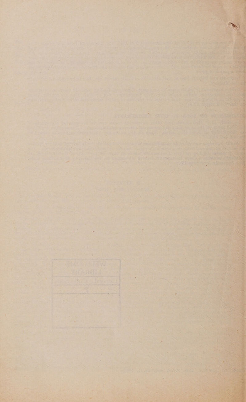                  x. , % , Ai ” . F f f ‘ ‘ Dae _ AeA i / bats oa} * f + * we ae “ ' ' a + r ‘ - . ¢ t i . < . ; i : A Pe — © ne . ri ‘ >i rr Fae x i : i ri a # <td =“ * - or ee ’ * wis ‘ , - - \ + é e- ‘ Suet o Le e+, re oe f cS ~ _ ~ = ie Pn f ames ‘ 3 in eig 7 2h) se Soe ie Sf Cie sys 2e 5 vy en ‘ : ¥ : , ee ‘. i . . . of 2 » % ; ¥; iH =F Les E . > f ’ a ‘ ' = = . ¥ 7 ; : 7 7 s — 3 = z 2 Ain EA ee oe , ‘ ; . > vi ~ r= Se i i a - a a ; / : . “> ba + “ Pao ie . = f ‘ 4 “ 52 A ‘ = - . 2 ps se Z : : 5 2 ~ y = \ : a . . s ~ ° a . : 2 4 - ¢ : k ; ~ 5 &amp; ” : ’ r Sr x:. . a ’ ? ey y . res 2 ¥ } 1 ; / * z ‘ : SU a = £ aerate Revert Aa | Se - ‘ ’ pr atgpyee fatin s ee E ‘ 1 ” 7 2 $ vy: - < eee a Soi ee Z 4 'g ra | Nig tia Baa s  a &amp; ot a ‘ e ais it; , ‘ae ‘ “6 2 : Se SWCIT ye Dabs < -e-a r ie PETES CRE 1 TOW es : > F p “ ¥ - -~ i 3 * * . * . =~ 4 bp 4 5 7 ‘ <2 a oo i ’ - 7 i ty ) ‘ ; i i rd ‘ - com f < u = s } ‘ &amp; = al R ae ; d ay - * al = Da &amp; = PT F 4 * ‘ « ae . oy . Tee } \ . Li beat 4% - a . r we ~ 7 ley : pas mes wth 5 . t : ~ k < Eee e vplekves © AE OVER Ce 