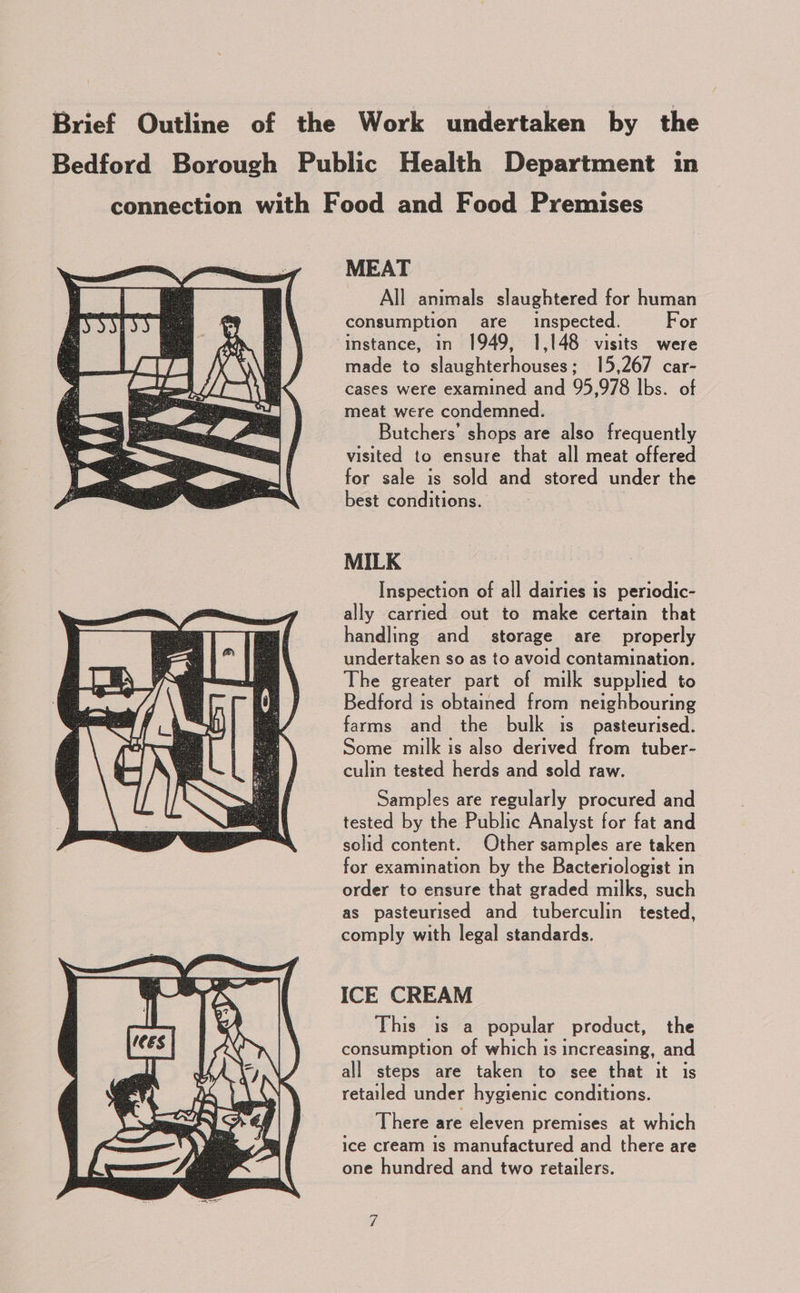 Brief Outline of the Work undertaken by the Bedford Borough Public Health Department in connection with Food and Food Premises MEAT All animals slaughtered for human consumption are inspected. For instance, in 1949, 1,148 visits were made to slaughterhouses; 15,267 car- cases were examined and 95,978 lbs. of meat were condemned. Butchers’ shops are also frequently visited to ensure that all meat offered for sale is sold and stored under the best conditions. MILK Inspection of all dairies is periodic- ally carried out to make certain that handling and storage are _ properly undertaken so as to avoid contamination. The greater part of milk supplied to Bedford is obtained from neighbouring farms and the bulk is_ pasteurised. Some milk is also derived from tuber- culin tested herds and sold raw. Samples are regularly procured and tested by the Public Analyst for fat and solid content. Other samples are taken for examination by the Bacteriologist in order to ensure that graded milks, such as pasteurised and tuberculin tested, comply with legal standards. ICE CREAM This is a popular product, the consumption of which is increasing, and all steps are taken to see that it is retailed under hygienic conditions. There are eleven premises at which ice cream is manufactured and there are one hundred and two retailers. 