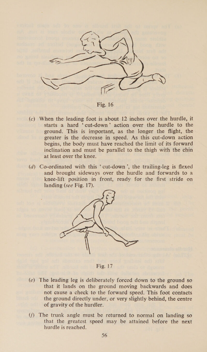  Fig. 16 (c) When the leading foot is about 12 inches over the hurdle, it starts a hard ‘cut-down’ action over the hurdle to the ground. This is important, as the longer the flight, the greater is the decrease in speed. As this cut-down action begins, the body must have reached the limit of its forward inclination and must be parallel to the thigh with the chin at least over the knee. (d) Co-ordinated with this ‘ cut-down’, the trailing-leg is flexed and brought sideways over the hurdle and forwards to a knee-lift position in front, ready for the first stride on landing (see Fig. 17).  (ce) The leading leg is deliberately forced down to the ground so that it lands on the ground moving backwards and does not cause a check to the forward speed. This foot contacts the ground directly under, or very slightly behind, the centre of gravity of the hurdler. (f) The trunk angle must be returned to normal on landing so that the greatest speed may be attained before the next hurdle is reached.
