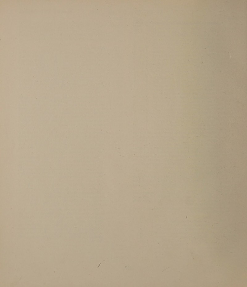 Es © a + # = : 5 ‘ > =} ‘ \ , ‘ i =. ~. ‘ * —— ine 7 oJ . -  ~_ t , > = - Ps > ive 7 — ‘ ? A ee Gar 24 Gl oo wk: ho kee x fe ms aan &amp; 