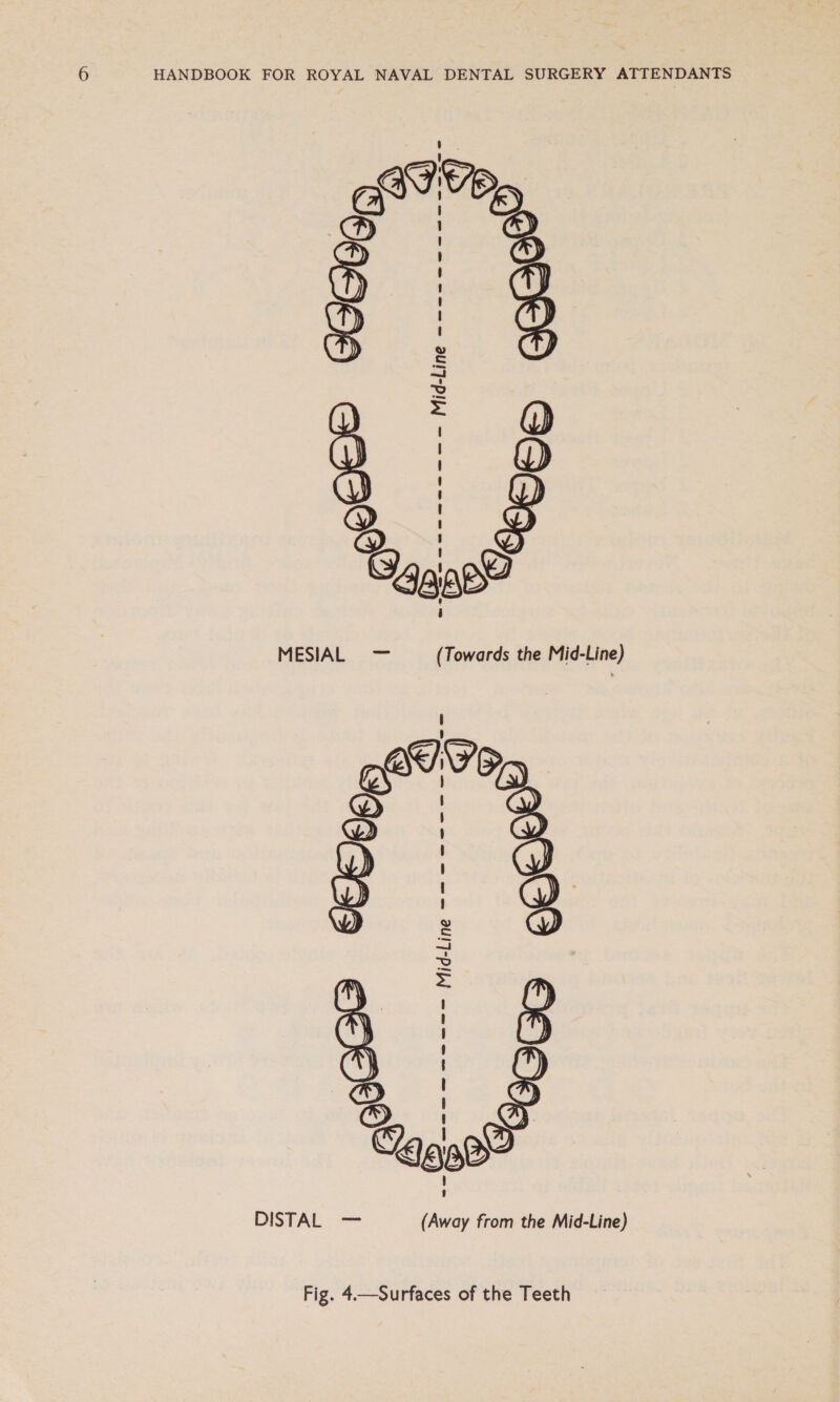 age, Sa C09 e6eE 6G eagac® Co 4a, MESIAL — (Towards the Mid-Line) a) S Go anne” —---—----- Mid-Line -------- 3 ' ar. Y (e aCe _&amp; &amp; DISTAL — (Away from the Mid-Line)