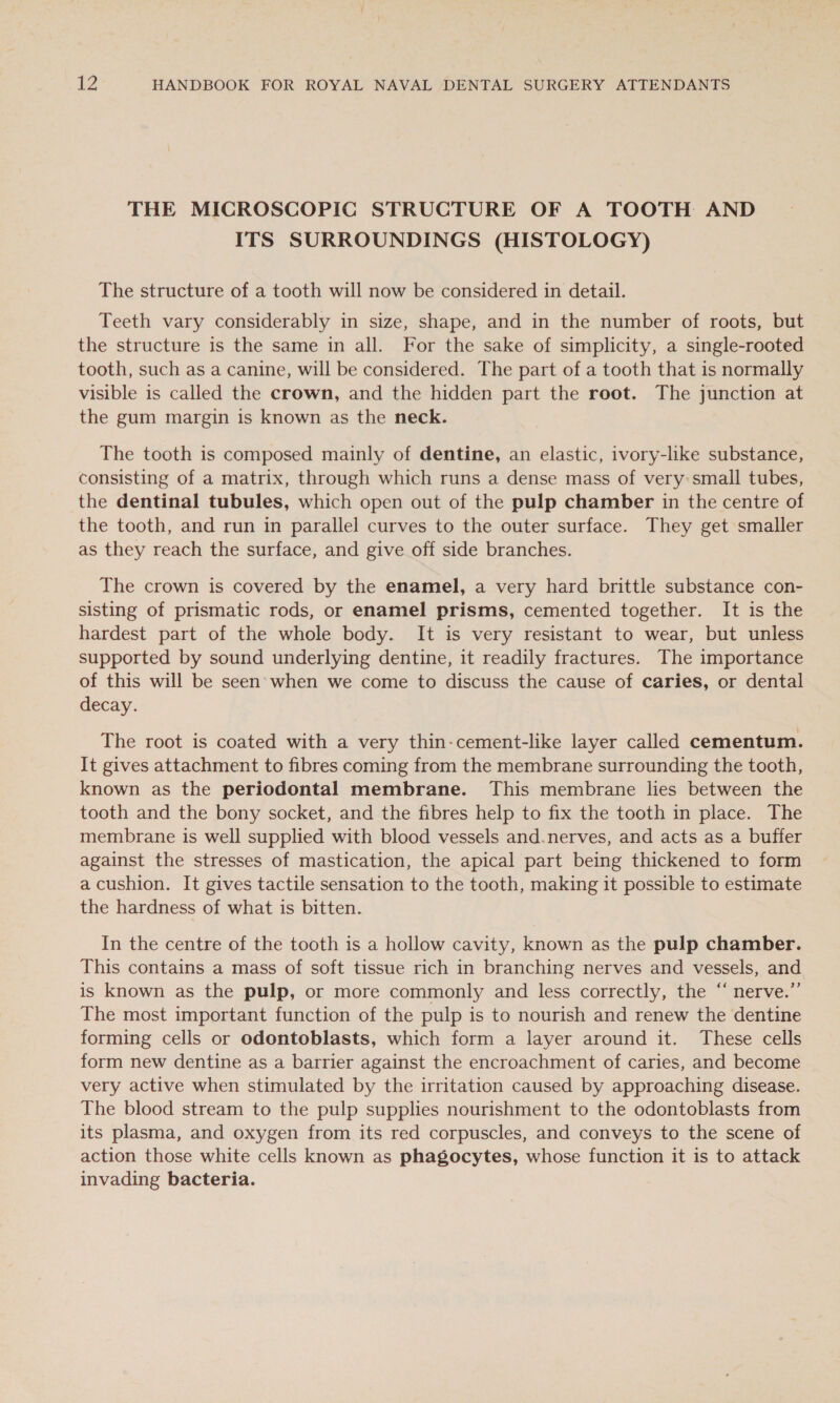 THE MICROSCOPIC STRUCTURE OF A TOOTH AND ITS SURROUNDINGS (HISTOLOGY) The structure of a tooth will now be considered in detail. Teeth vary considerably in size, shape, and in the number of roots, but the structure is the same in all. For the sake of simplicity, a single-rooted tooth, such as a canine, will be considered. The part of a tooth that is normally visible is called the crown, and the hidden part the root. The junction at the gum margin is known as the neck. The tooth is composed mainly of dentine, an elastic, ivory-like substance, consisting of a matrix, through which runs a dense mass of very: small tubes, the dentinal tubules, which open out of the pulp chamber in the centre of the tooth, and run in parallel curves to the outer surface. They get smaller as they reach the surface, and give off side branches. The crown is covered by the enamel, a very hard brittle substance con- sisting of prismatic rods, or enamel prisms, cemented together. It is the hardest part of the whole body. It is very resistant to wear, but unless supported by sound underlying dentine, it readily fractures. The importance of this will be seen’ when we come to discuss the cause of caries, or dental decay. The root is coated with a very thin-cement-like layer called cementum. It gives attachment to fibres coming from the membrane surrounding the tooth, known as the periodontal membrane. This membrane lies between the tooth and the bony socket, and the fibres help to fix the tooth in place. The membrane is well supplied with blood vessels and.nerves, and acts as a buffer against the stresses of mastication, the apical part being thickened to form a cushion. It gives tactile sensation to the tooth, making it possible to estimate the hardness of what is bitten. In the centre of the tooth is a hollow cavity, known as the pulp chamber. This contains a mass of soft tissue rich in branching nerves and vessels, and is known as the pulp, or more commonly and less correctly, the “ nerve.”’ The most important function of the pulp is to nourish and renew the dentine forming cells or odontoblasts, which form a layer around it. These cells form new dentine as a barrier against the encroachment of caries, and become very active when stimulated by the irritation caused by approaching disease. The blood stream to the pulp supplies nourishment to the odontoblasts from its plasma, and oxygen from its red corpuscles, and conveys to the scene of action those white cells known as phagocytes, whose function it is to attack invading bacteria.