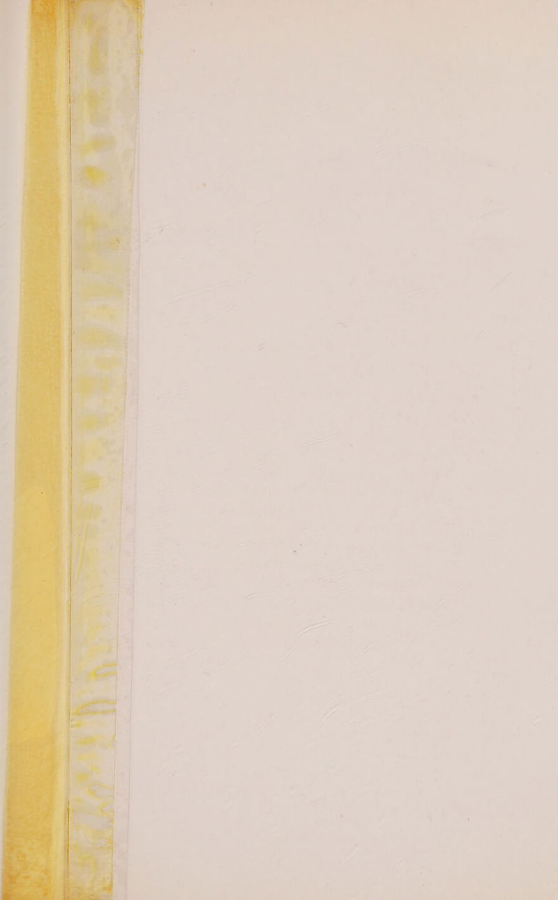 “ ' : Ae a4 - S : . 