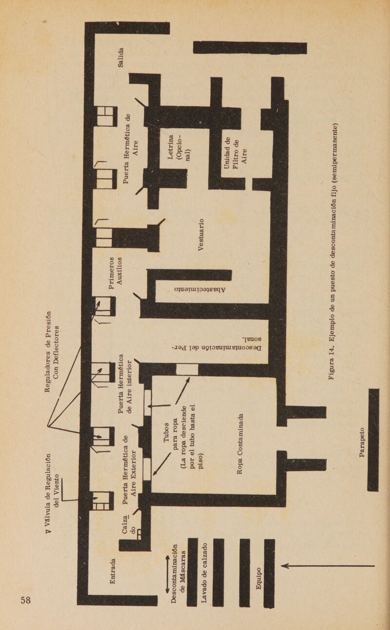 il Ms a a ojode1ea  (aquouzuraodrues) ofiy UHTOPUTUIRJUODSAP AP OJSaNA UN Sp Ojdwuf(H *p] ean31   odmbx  *[euos -194d ]9p UYIOTUTUIEJUOISIA  9uIy ap OXITIH Sp peprun EpeurueJuo) edoy  a OPBZ]89 op optar] Ta. 19 e3sey oqn3 19 xod apuatusap edo er) edo eaed soqnL 58 E LI) JOTISIXH ITV op 9P BOMQUIASH BONA BZIRO OTIBNISOA  (peu -orodo) “gurajoT   STIBISPN 9p UNIOBUFUILRJUOIS A Gra  OJUSTUuILD9ISBAY de       9ITy 9P BOMQWUISH PIN  sor Ixny ROHQUIISH PILNA a SOIS9UITA J ES epeIqua 