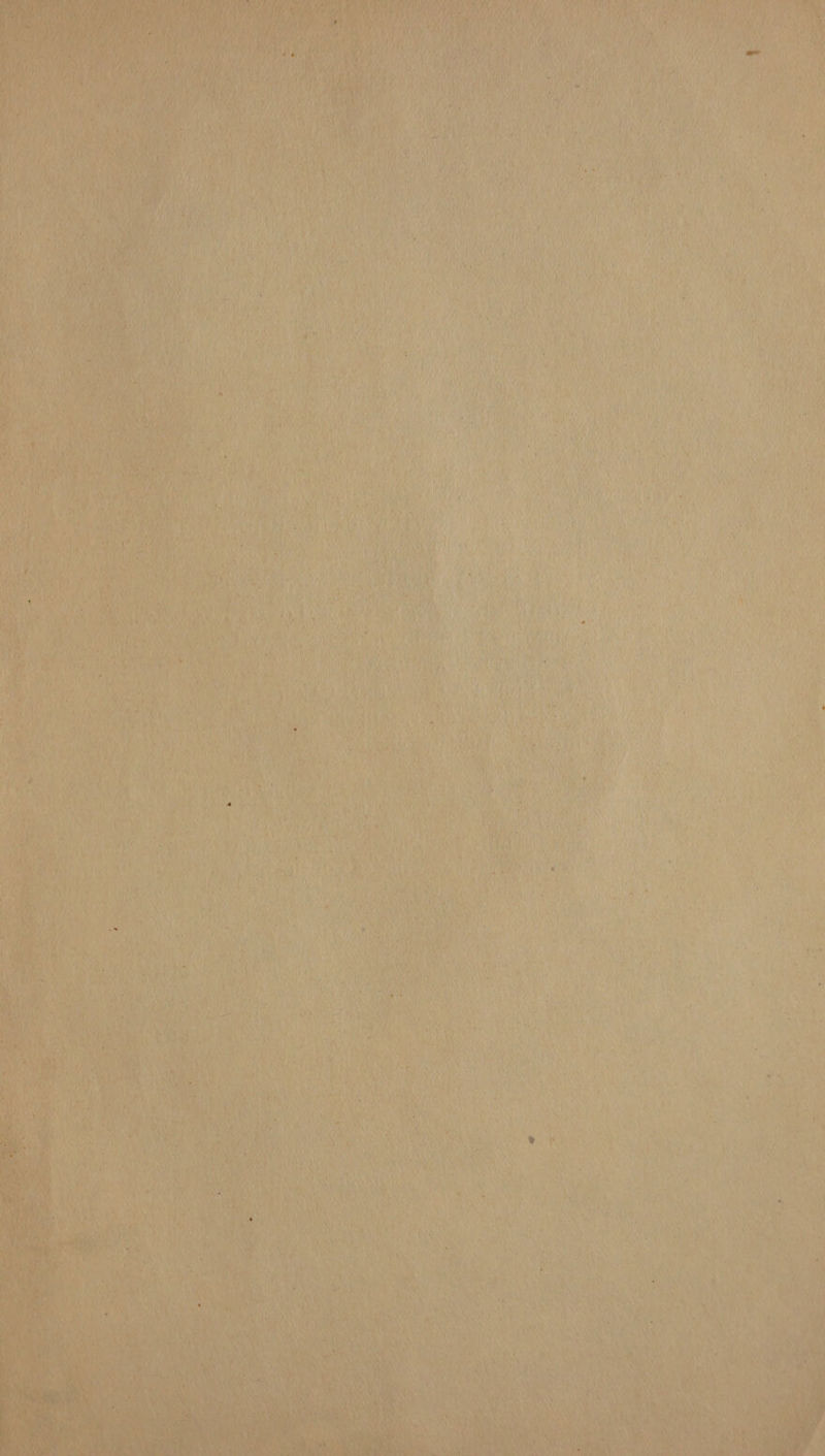 Mit, WN AN wr et wie AW iM) 10> FEF ery