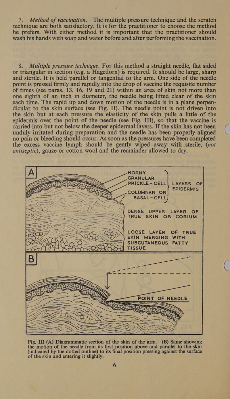 7. Method of vaccination. The multiple pressure technique and the scratch technique are both satisfactory. It is for the practitioner to choose the method he prefers. With either method it is important that the practitioner should wash his hands with soap and water before and after performing the vaccination. 8. Multiple pressure technique. For this method a straight needle, flat sided or triangular in section (e.g. a Hagedorn) is required. It should be large, sharp and sterile. It is held parallel or tangential to the arm. One side of the needle point is pressed firmly and rapidly into the drop of vaccine the requisite number of times (see paras. 13, 16, 19 and 21) within an area of skin not more than one eighth of an inch in diameter, the needle being lifted clear of the skin each time. The rapid up and down motion of the needle is in a plane perpen- dicular to the skin surface (see Fig. II). The needle point is not driven into the skin but at each pressure the elasticity of the skin pulls a little of the epidermis over the point of the needle (see Fig. II), so that the vaccine is carried into but not below the deeper epidermal layers. If the skin has not been unduly irritated during preparation and the needle has been properly aligned no pain or bleeding should occur. As soon as the pressures have been completed the excess vaccine lymph should be gently wiped away with sterile, (not antiseptic), gauze or cotton wool and the remainder allowed to dry. HORNY GRANULAR PRICKLE-CELL{| LAYERS OF] EPIDERMIS | COLUMNAR OR (24) BASAL-CELL DENSE UPPER LAYER OF TRUE SKIN OR CORIUM LOCSE LAYER OF TRUE SKIN MERGING WITH SUBCUTANEOUS FATTY  Fig. III (A) Diagrammatic section of the skin of the arm. (B) Same showing the motion of the needle from its first position above and parallel to the skin (indicated by the dotted outline) to its final position pressing against the surface of the skin and entering it slightly.