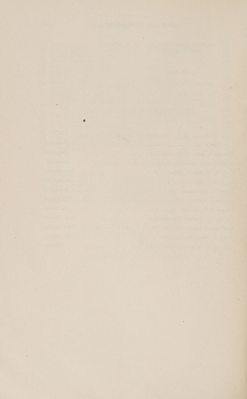 <- atk ; Geen ui Lares atthe “ < we ¥ a} Bee Pale tee 