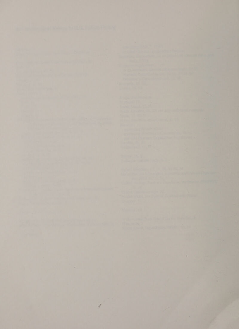      nwa 9 mal 2 . ii? JE WOO, hy pe AY a \ avis QgnceMat, 2 Ay ay - “SS DO. Cie IS x ny gs at thy wae ei Set MA OS 4 PRS op pal Ceftetth 2 aw ie bb Owaake a “A Saetieee Ws hanes *        aby   - i va. 16, OF = ae gt Bete SS hep *~ = &gt;a 7A iA ‘xs. = . . we ; ss i no! =i sy ; 2 + ¥ £ a . fe . a sc, « tau 4 } é i] - _ - ' a ee, SL + pit bell rat : Pups! in — he x : Pa 5 2 5 ene ot : de i , tf wiih Sante? Steal tor the tia “a tae oy Oe vr nda’ ‘Vari Vien ene a wep wee ilk aan, . va 7 ; oy = i . (ae . a hase) oe ry ae: p wf a¥ a we oe oe eee &gt;