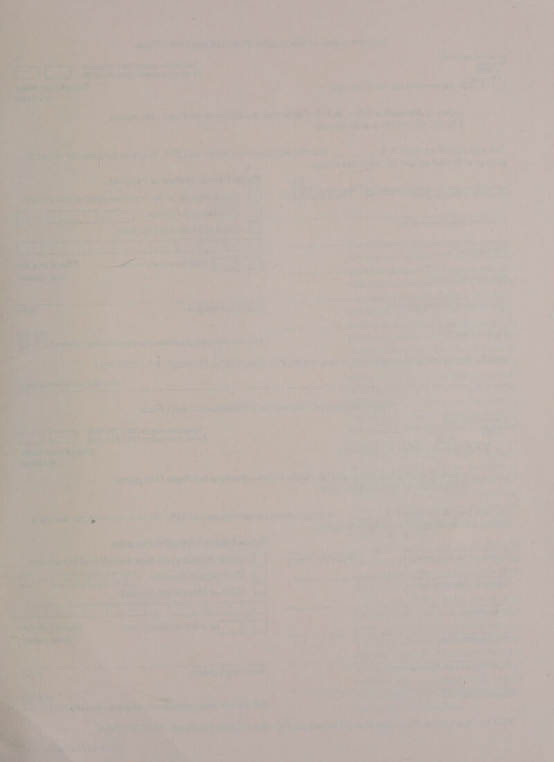                     2 - Wa w~ * ay 9 @ ™ ao * 5 j Oy ‘ _ . - 7 / r Pel ; a ae &amp; - &lt;4 ‘ LR wg ine SA) et Ww areola tat a oie D, mesigseaniharhA ee FE Wh, ek seth Fh ot sah ibe dial atl ft ead  : | 7 | aa ee Se ps Sit eet 2 ea vh = rw a ae pene epee Shas pelo) fw 7)” i venient sei 7 ; : 4 rae me J ey Pal ok ests rth - ’ ay 1 eet oe ec Mat gre ger Eee cst a i oe oe) ee on, x Oe cists er ee eT am : Tey pe 5 Pee ON. &gt; chee Loe iat rhe: ee 3 as : Ly (eatee oa : - vy hae 3 hy? . ‘ 7 } ’ 7 nT iS 4 &lt;4; *?~ + nee: ae ee iar Z is TA DAS &lt; ab st arpare ci Ney iy), HE EW oie ; : » a a : : Pp . ci 6 ate: ; 4 ‘| oe) ae rie oe f fae ed ae “Eb Edcerr! hi » SIR Tee A Tat we ht yr Ol 7 aie. ‘i 3 RGUNT: nm ce 7 on aa te op | hee iat - cy. ae rm =) J _ a+ Gey * a fe- Sy aes ; ts S : ; : “ee odw at te sh per goetar ,.*r 1) a i] avr? Tobat 2 eiteetraiy NS RR PRN Ts SH NS Es . actor sebtentn! : hagas et BA sretneton rte 7 ; ; a a ho j a. rd ay : f - co) ae &gt; idly ar Ca a i Ps. be Se Bn ga ea gn a ck ae Comsat oh) Crcterne ve neath oy seas acti “a %4AGY p ry -* O ‘2. ts P —” 2 pty At 2 pty ? | hog, ae ne ati ee Se PBT ts ‘ é : i 7 wa ehaones® eet . ar 4 ase ss ihab Gh Sota | Ld 4 a, aT ry oe \ , paral) pros Wr 2 Meetliy, . .. | ey, = ry 7 ty : f a 4 ‘ De ‘ oats Ti P gid eg! oe pm) plains vi : a age i RS le ae ded te iu’ petpraatl RAY “ ,   vs Pr &lt;li — ee oe v aes. — im Pe Jy ins jae aa : os ii) wrens Uae one a Yh EL ’ le ic w he de! » me ae &amp; = @ peg hy hy th) ri a = : a ey Fis alee ons a we ad Y fe Aine o &lt; oe oe ae ie Sa ; Oe ee a ae oe he = oat,” we Bo So ee a ; 2 | fey teat slate oleh Vy “i Hetbtiaat ant gree Peye T tnt ~ So ene eee