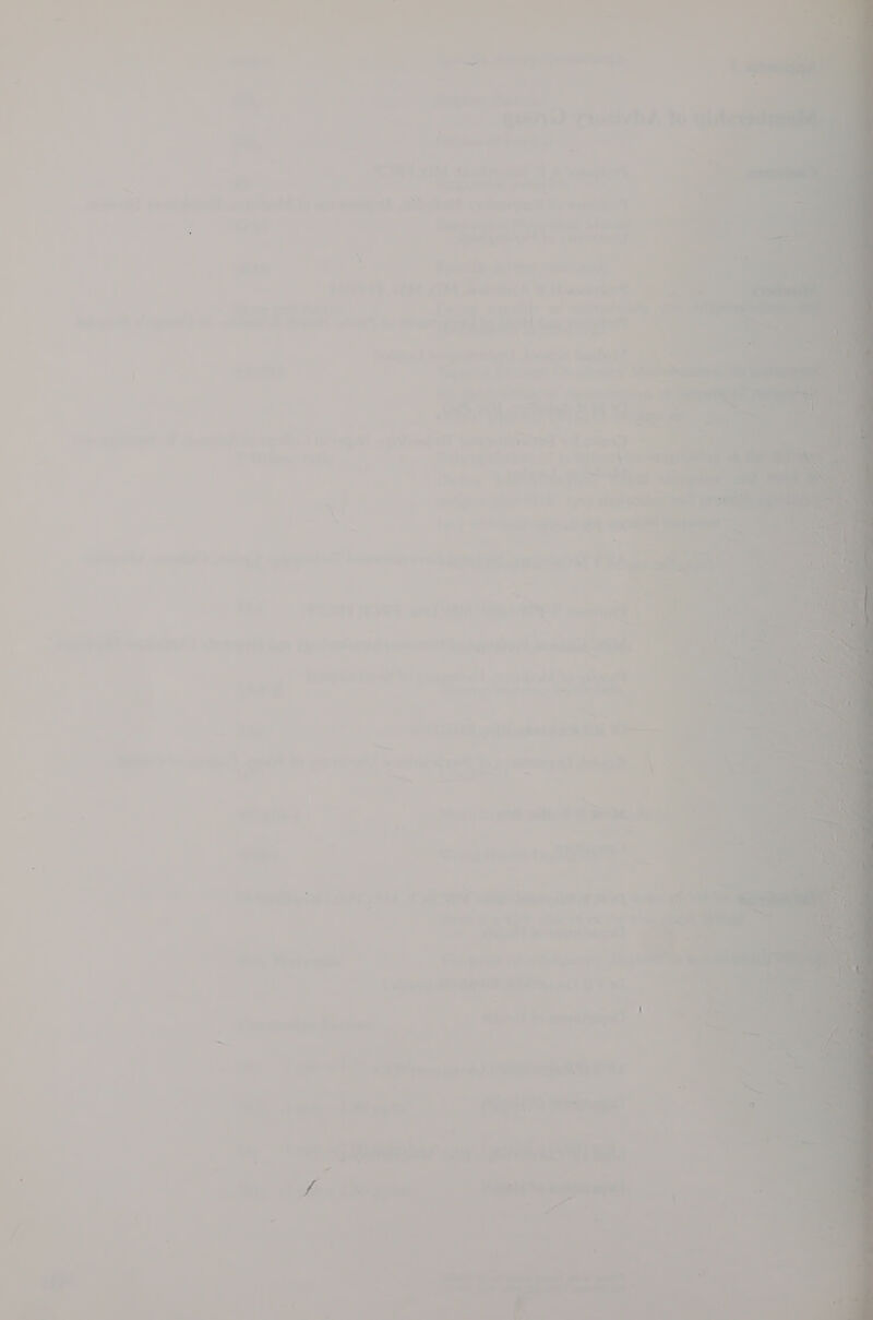 i‘. 7 , ; \ ‘ my a es oo { re] v ' ~~ a i ~ ee ' ) el \ eg =, + - - a cee 1 ae ” - eo = _ &gt; me = a - ‘ ‘ a oe 7 é we LS ‘ 2 ll . = . ! &gt; a a 2 7, -_ ; Tal’ ot Ly HO} ww P . : Pur mt ade 4 iy Walch’ “yy erate NG Ea » Zig tae  e* fan) Co