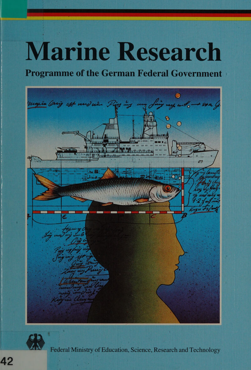 Marine Research Programme of the German Federal Government ne ce of oe fe re of   Federal Ministry of Education, Science, Research and Technology 42