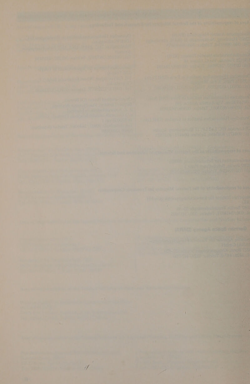 . Peano: arate ae .. a = ee hat 5 ae aa [homage a eget 5 UP if has oP ae vontcettg 9 a ms ren - : Aa >: : So tae | Be ae MO capes pin eee “ Ptah ish. Ad = ww, ne Fe cnet and : a P si ls L a haiti er * a es “i migniteht mit sider werkt rad lade au oa : | Lhusdmlion rie n ins rivisenetianwes ual, id ei As eat an inst i ‘ ? ' eT are rh. ‘ Petite ; . } 1 —— j it y | ff Fear CATT ny eT el ; f 10, r’ aryahl MA niente shea lat al eae ae ee ay > aig ey y PP b inna fratiny VTA cr ab ai ace : ' f svervdi a wi i ) ' F ve PMSF eas SP | [abe 4ST Bah. . ; ‘ = ¢ t iiiteree | finer (itr ee + : ‘agt | : ; Fh ey eee 7 = } ; | i7 esis Ts. ‘ Srey ~ PL — a \ -% i “+ , ay. * : of 5 @ He aM e peg eth oe Ry, . we site fh So Ma EPA a. | thy nl a Spates tna 7 | ae ee — ae ue ia Pye ae Pre a