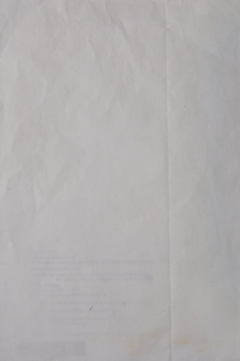      Ny \ ) } i O , . ‘ th) (ore Blip .°. sae : ‘ ee | hoes Betsucns tine any 7 ‘ee : - (dine tor Reawmagt Chale et % | : S \ ' a re ikl &amp;> “7 . 7 ad
