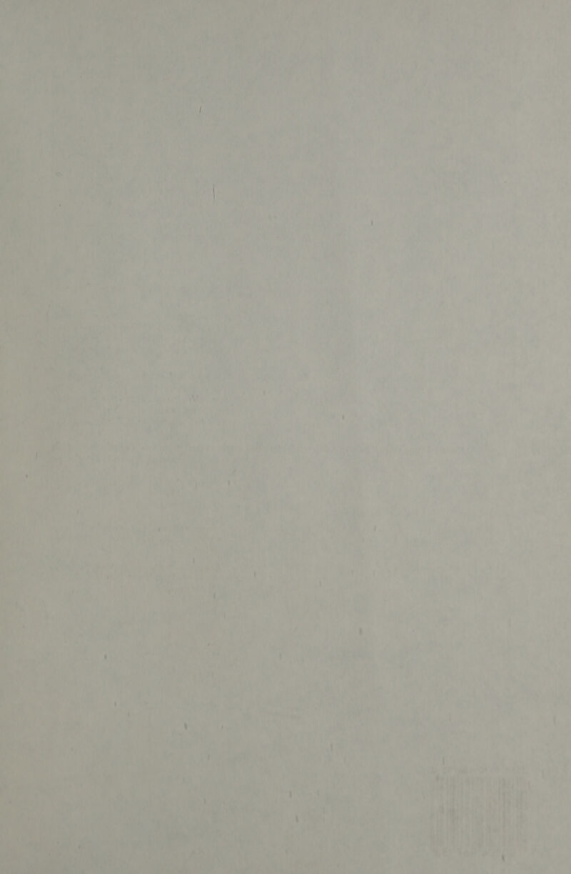 i Maw ne ne ees Eat ts be e Nae am Tas eve, Psat AME ag eh Me Bis one : a? 0s nA ’ i » ‘| Md Td ' a i | % 