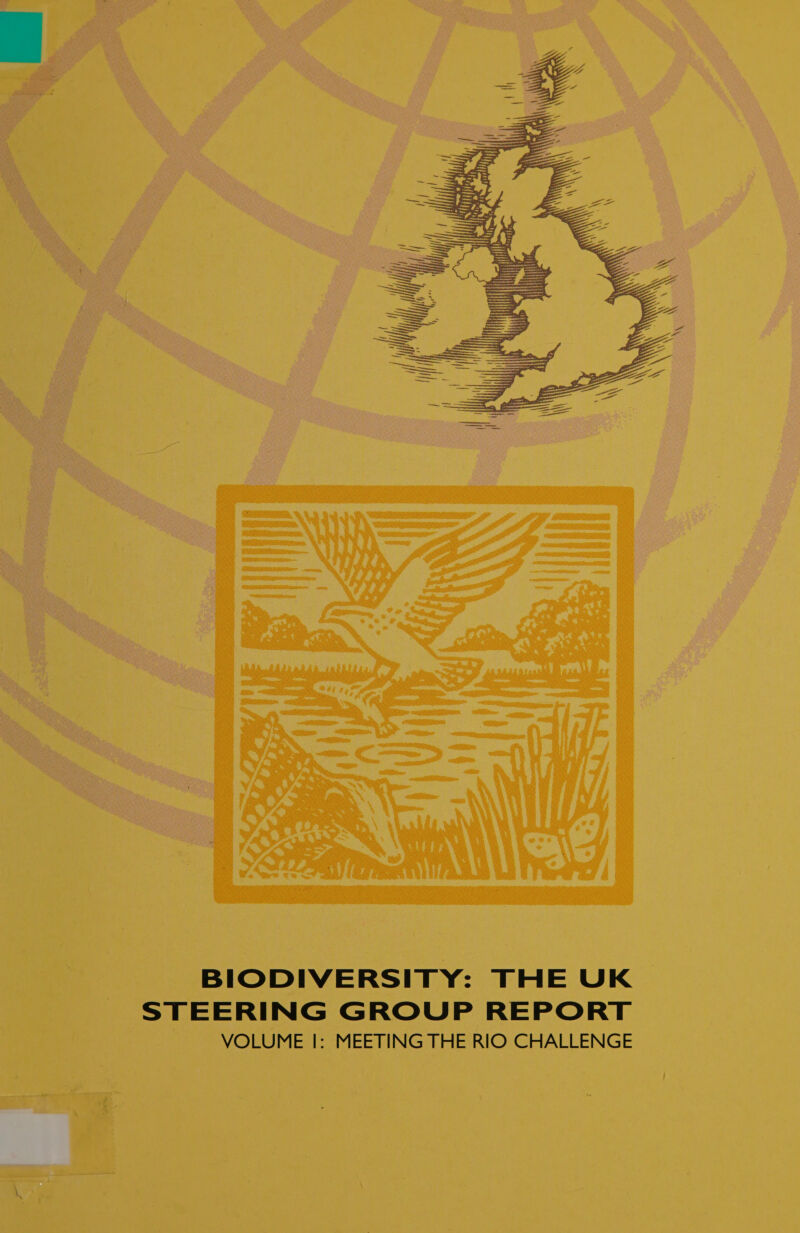   BIODIVERSITY: THE UK STEERING GROUP REPORT VOLUME |: MEETING THE RIO CHALLENGE